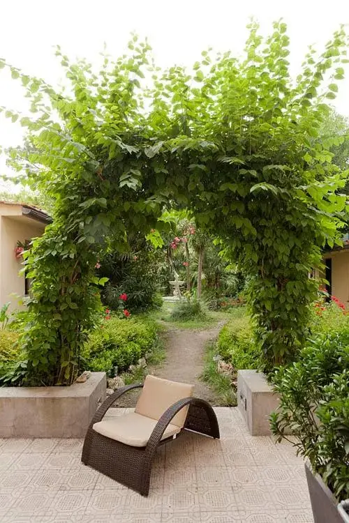 Garden in Hotel Novecento