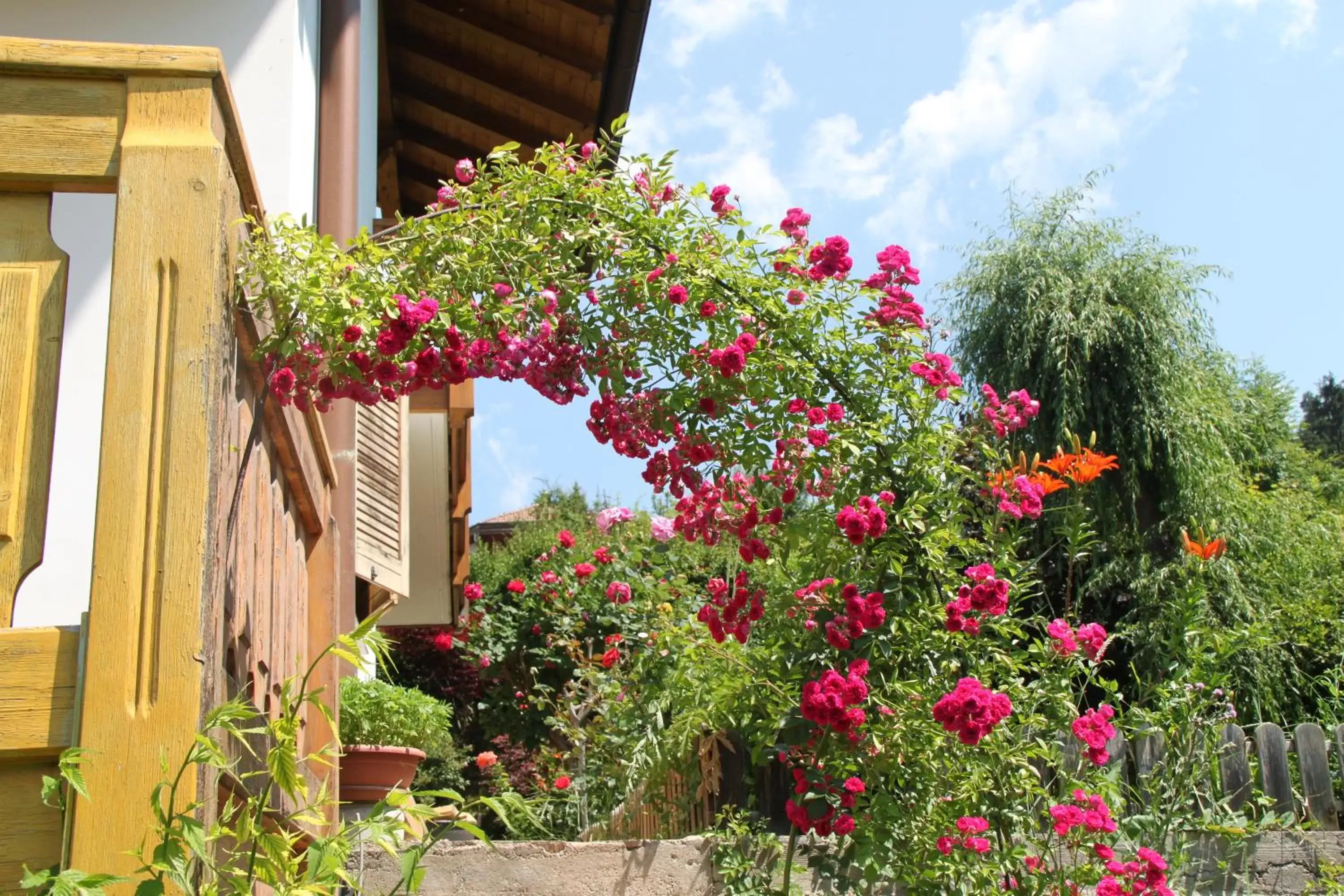 Spring, Property Building in Garnì Goccia d'Oro