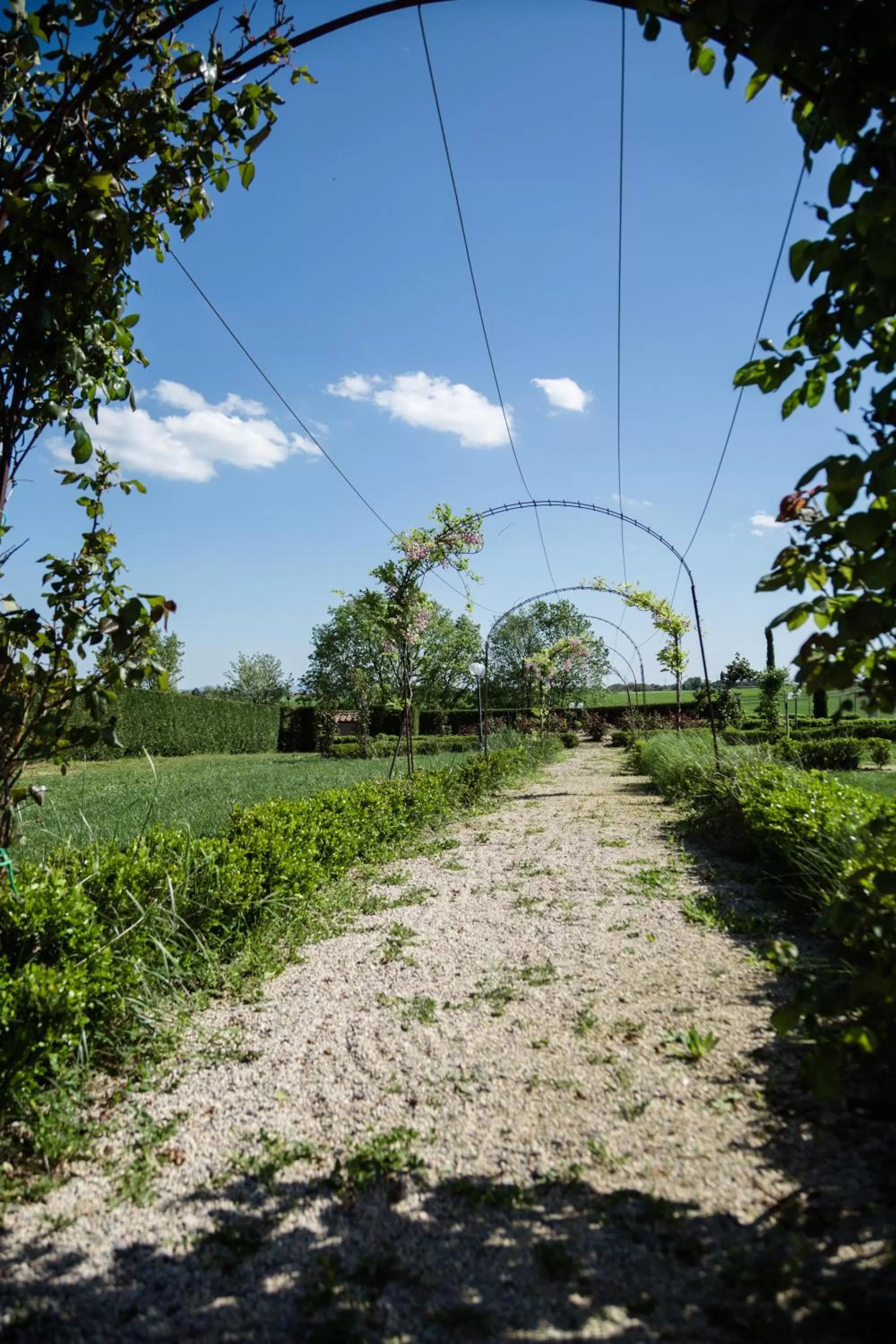 Garden view in Podere San Giuseppe