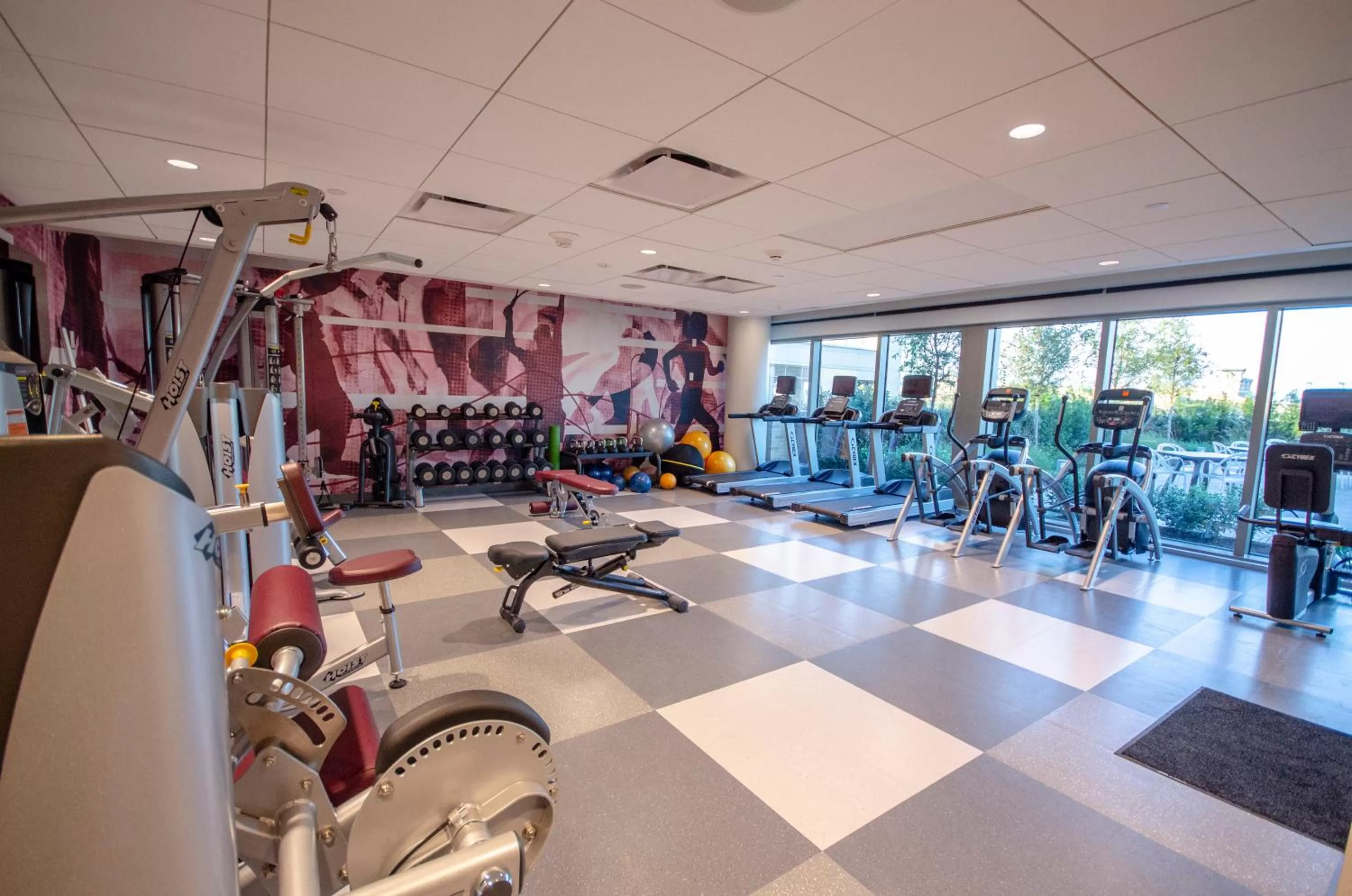 Fitness centre/facilities in Texas A&M Hotel and Conference Center