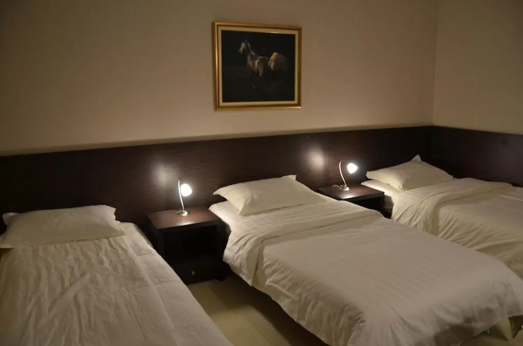 Photo of the whole room, Bed in Hotel Golf Luxury