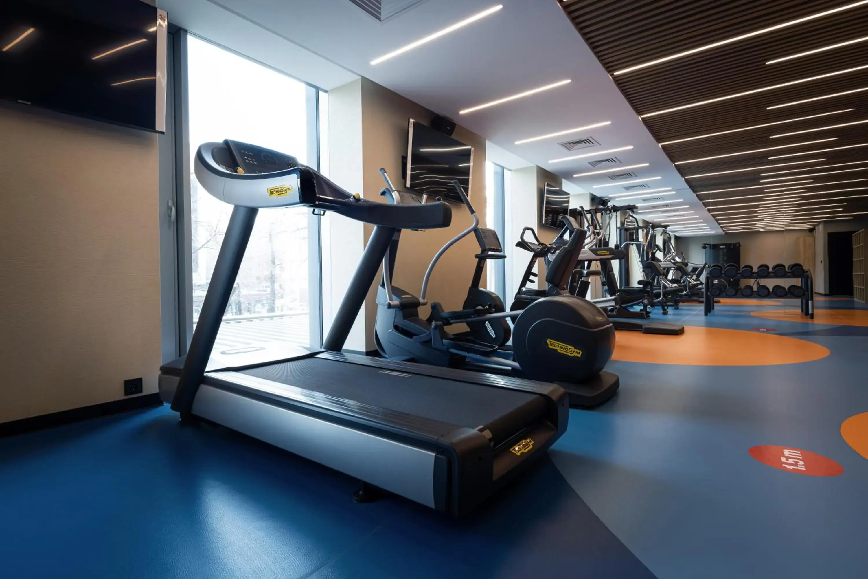 Fitness centre/facilities, Fitness Center/Facilities in ibis Almaty Jetisu