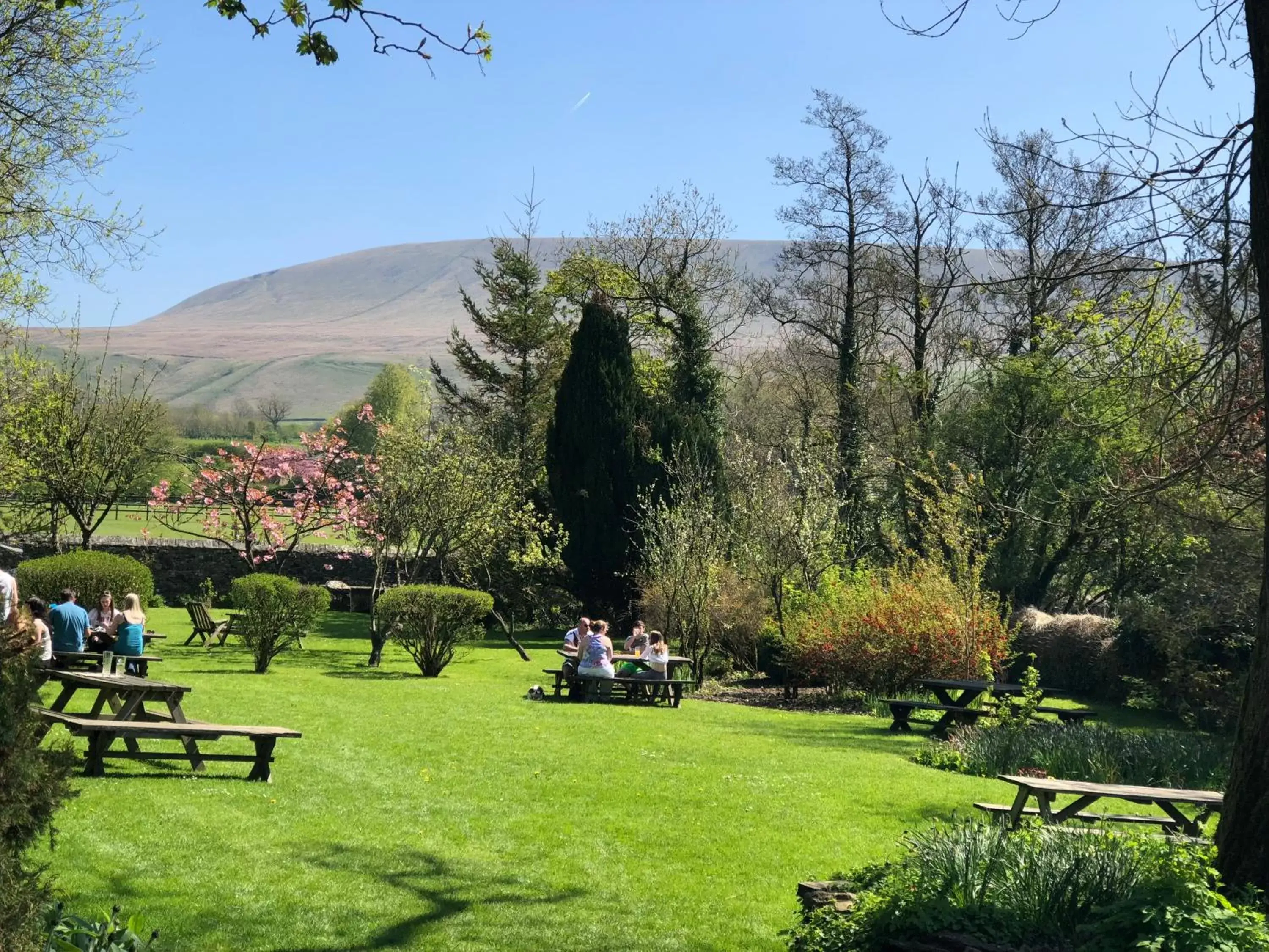 Garden in Calf's Head Hotel