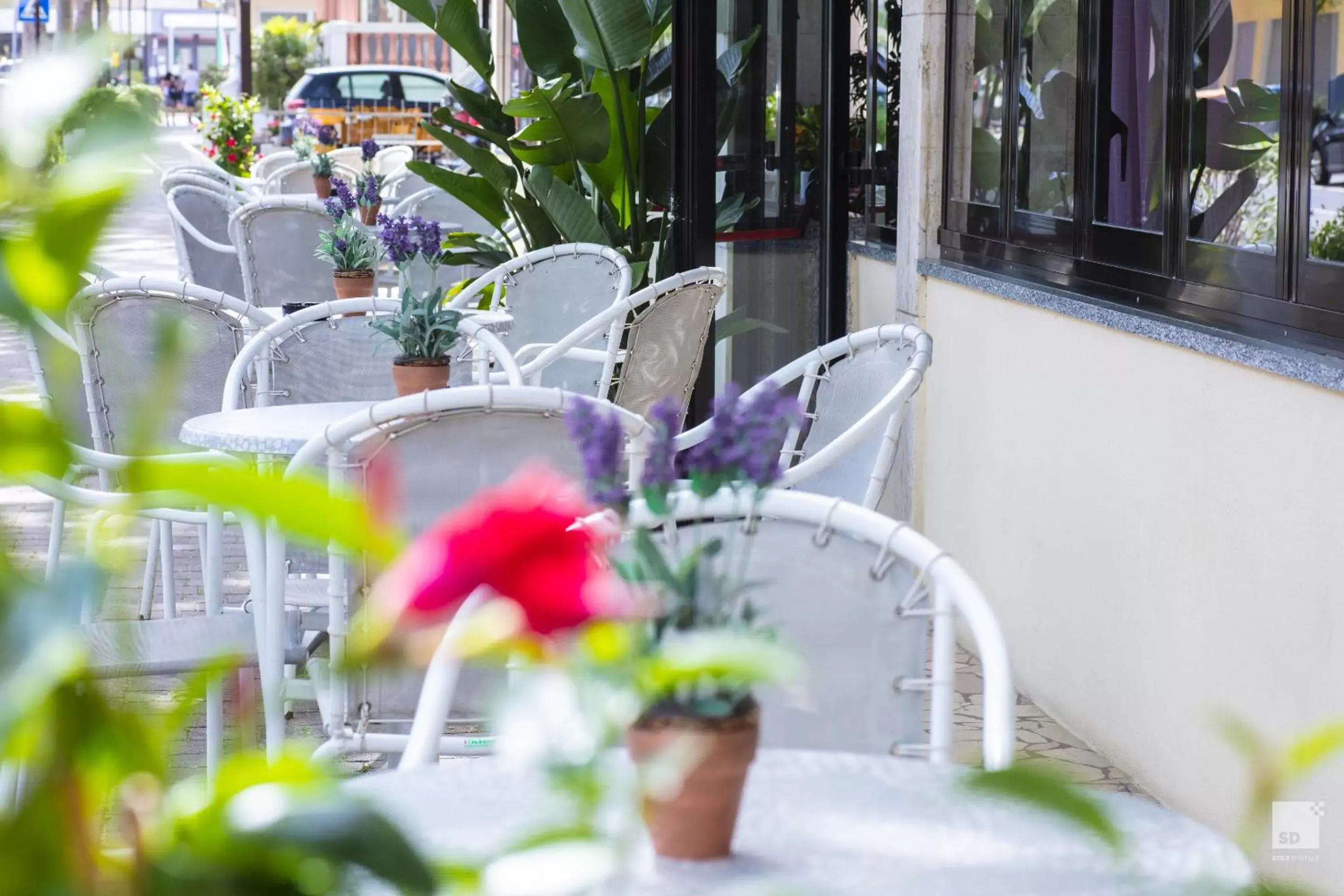 Decorative detail in Hotel Fattori Mare