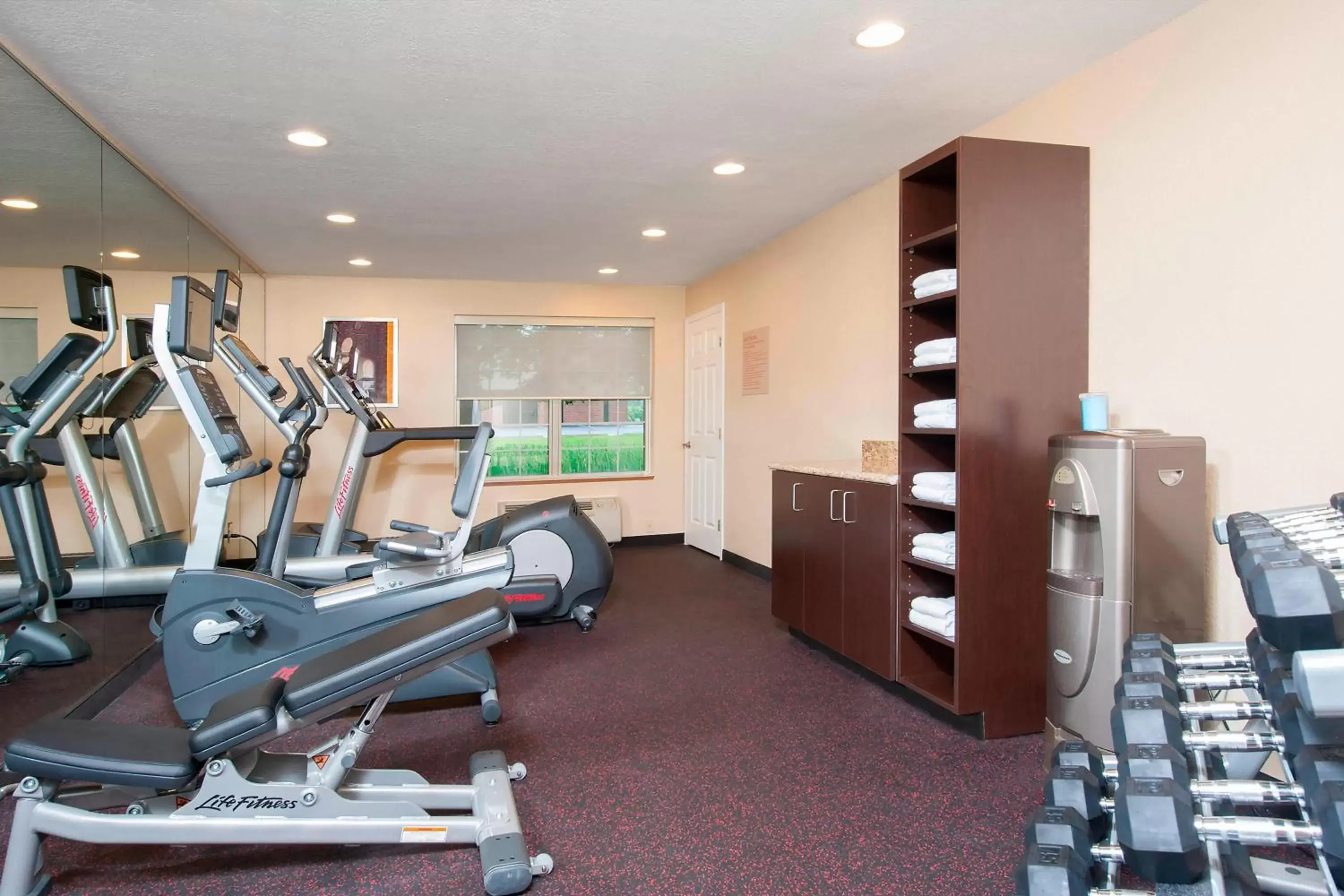 Fitness centre/facilities, Fitness Center/Facilities in TownePlace Suites Indianapolis Park 100