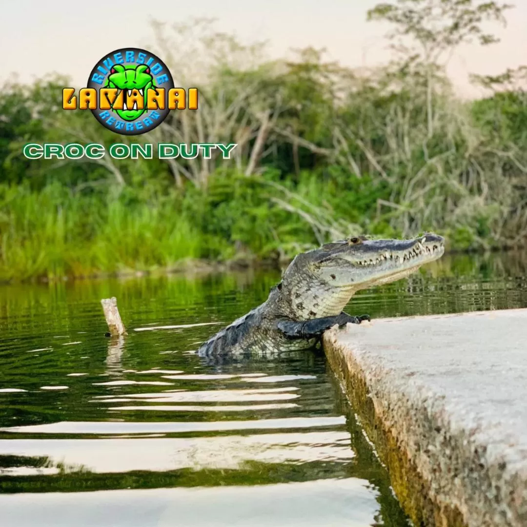 Restaurant/places to eat in Lamanai Riverside Retreat