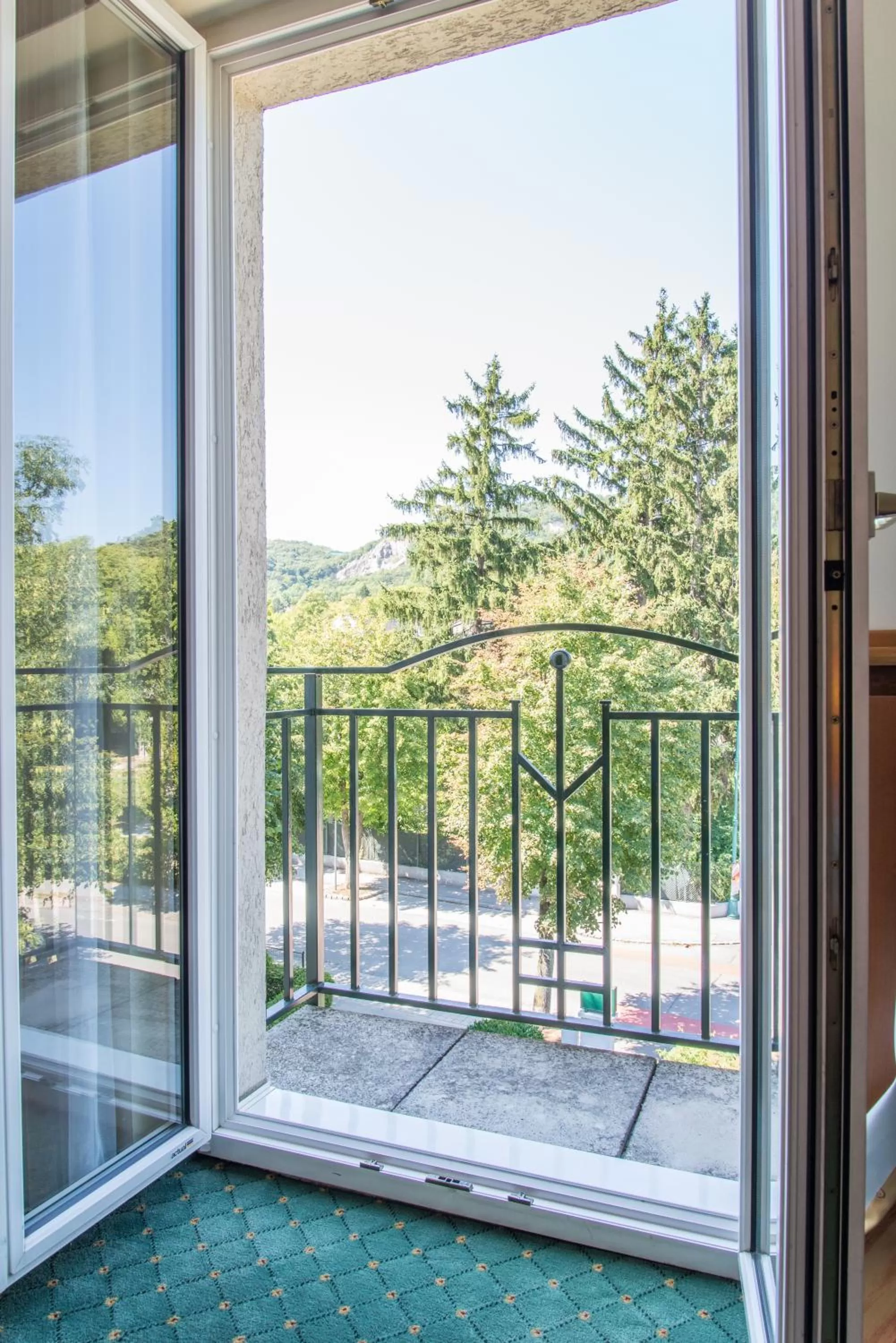 Balcony/Terrace in Hotel Beethoven