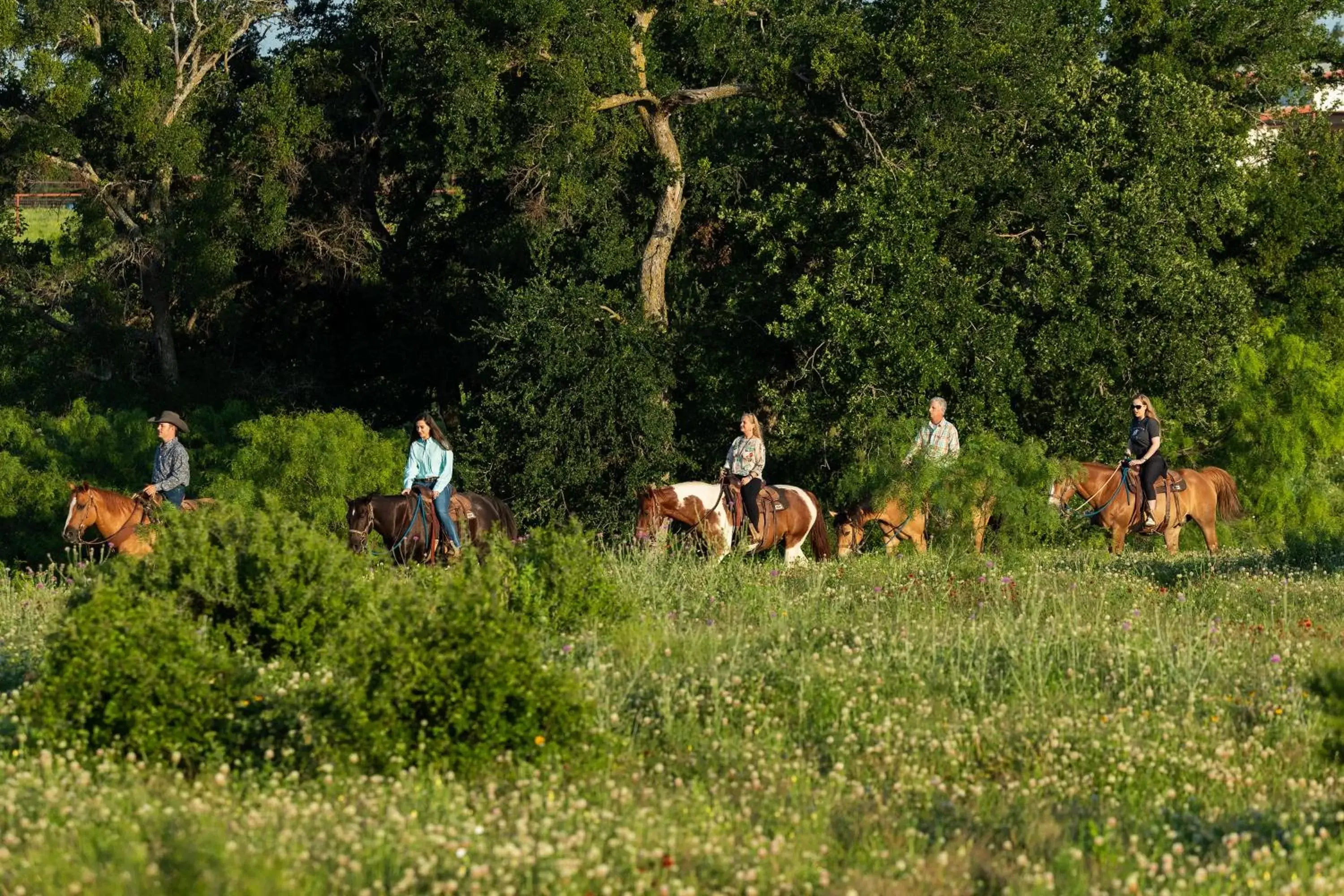 People, Other Animals in Wildcatter Ranch and Resort