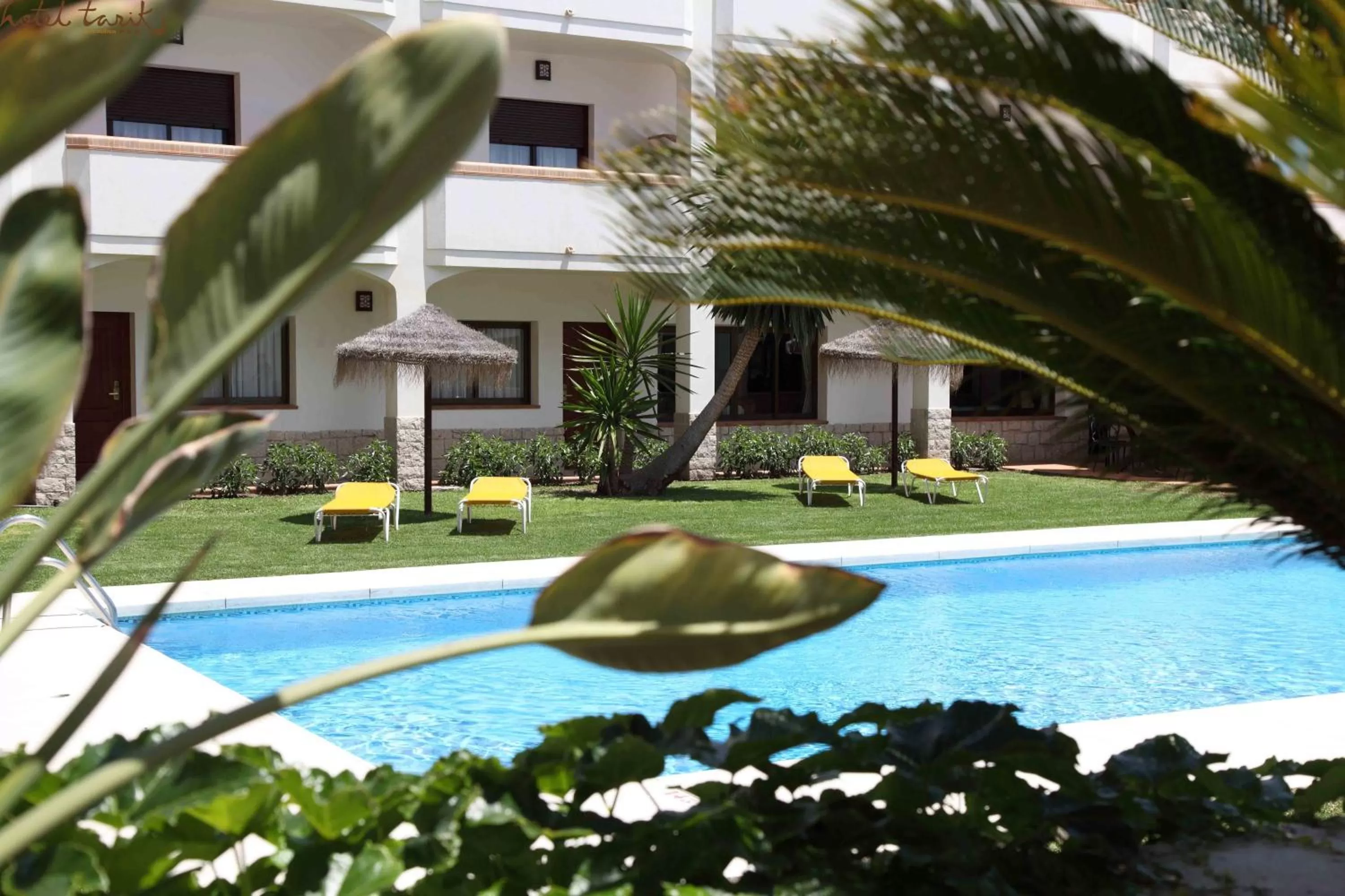 Swimming pool in Hotel Tarik