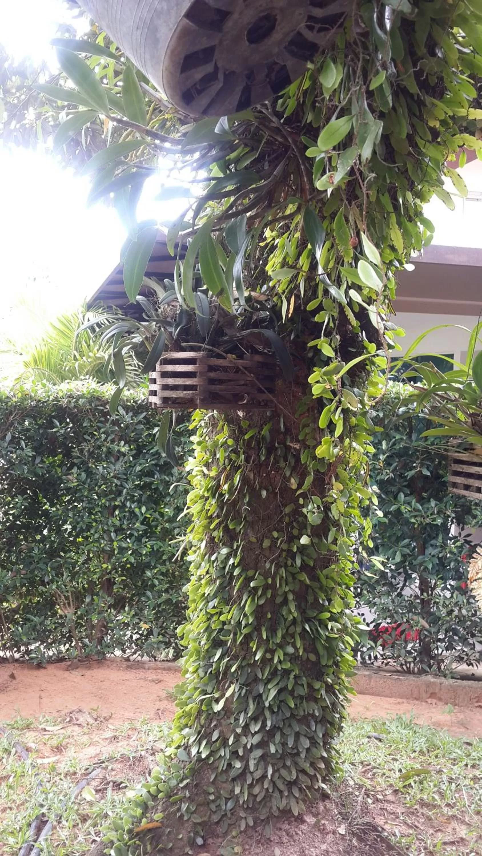 Day in The Fong Krabi resort