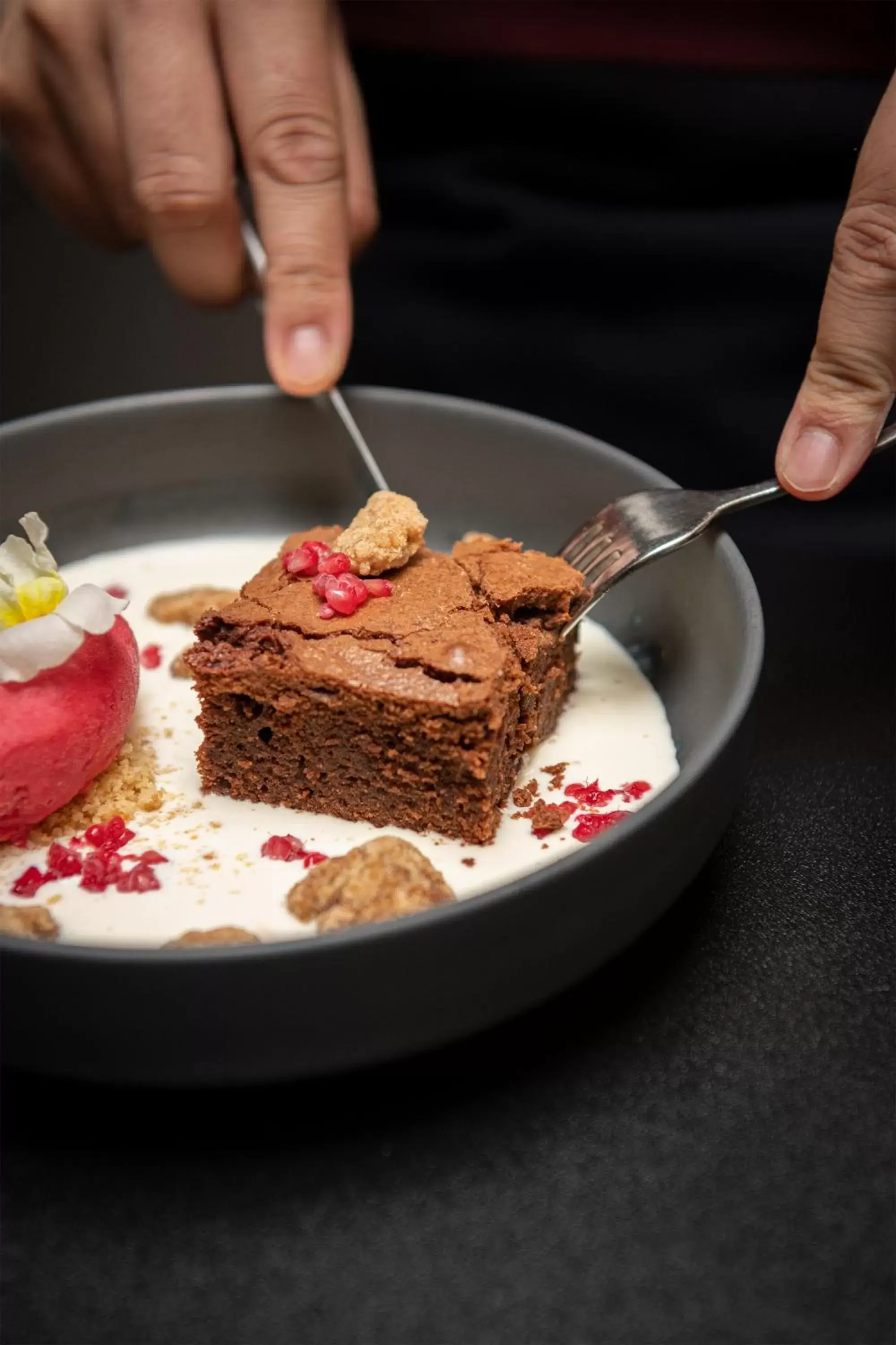 Restaurant/places to eat in Hotel Plaza Restaurant/places to eat in Hotel Plaza