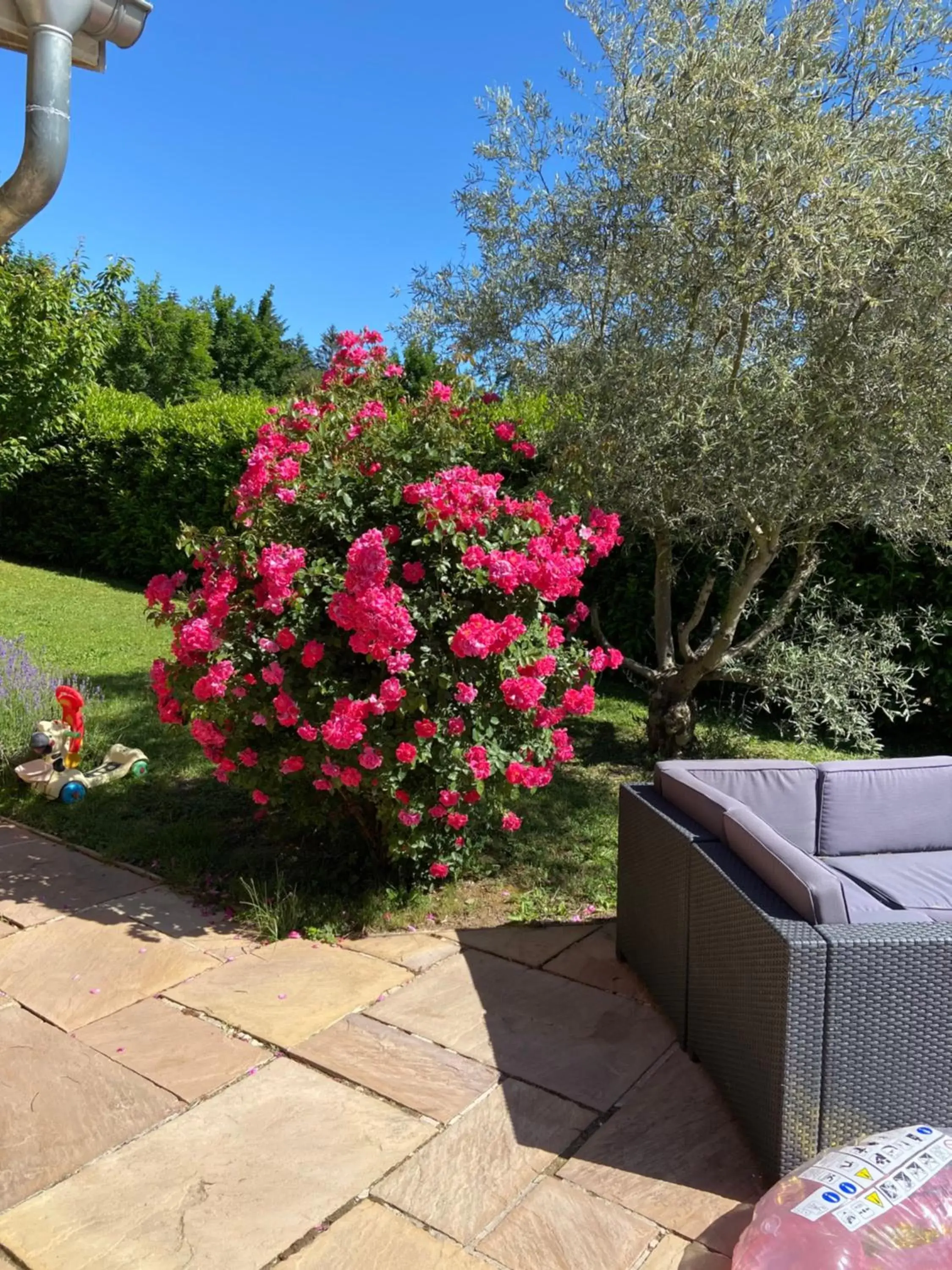 Garden in Chambres dans villa avec piscine