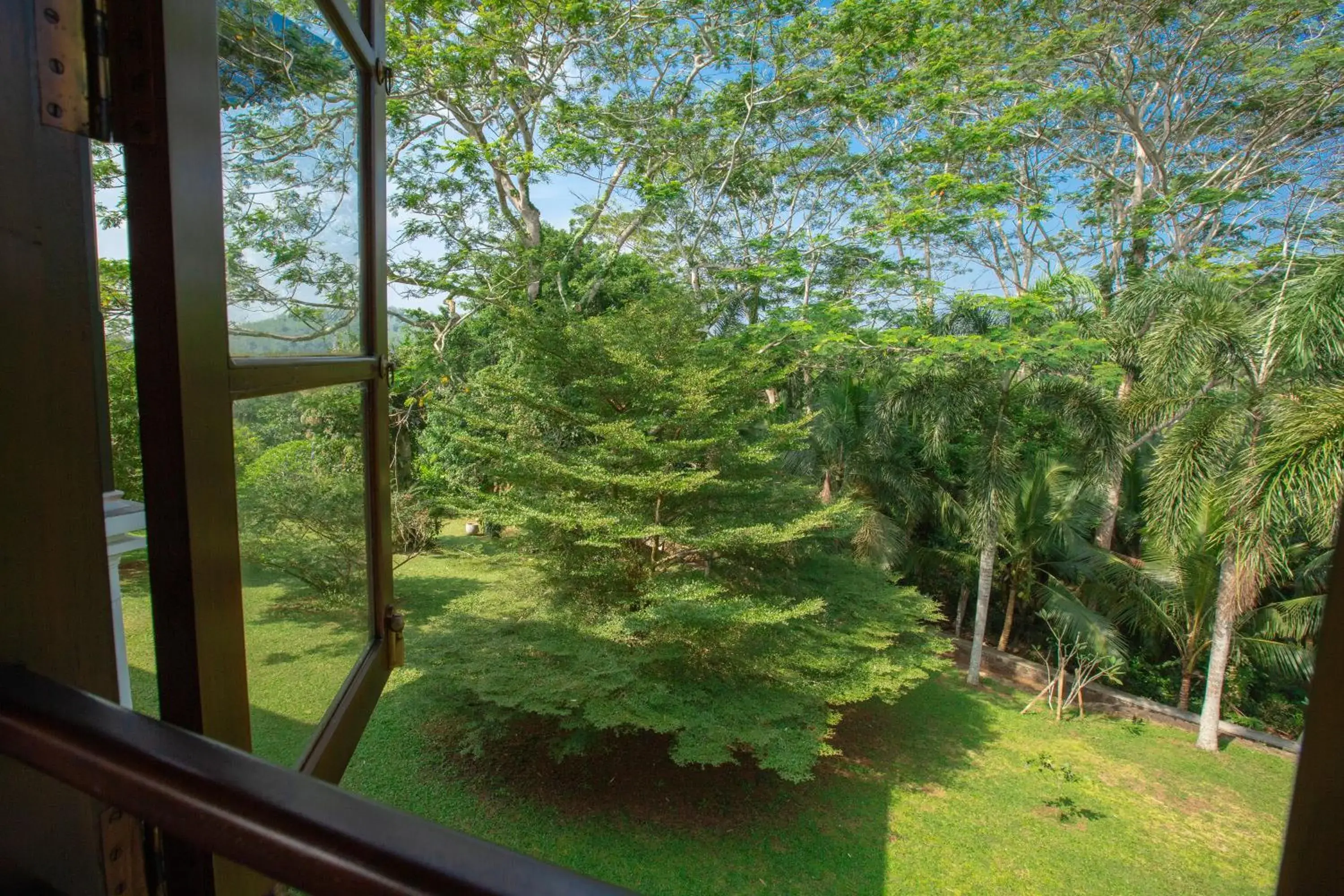 Garden view, Garden in Niyagama House