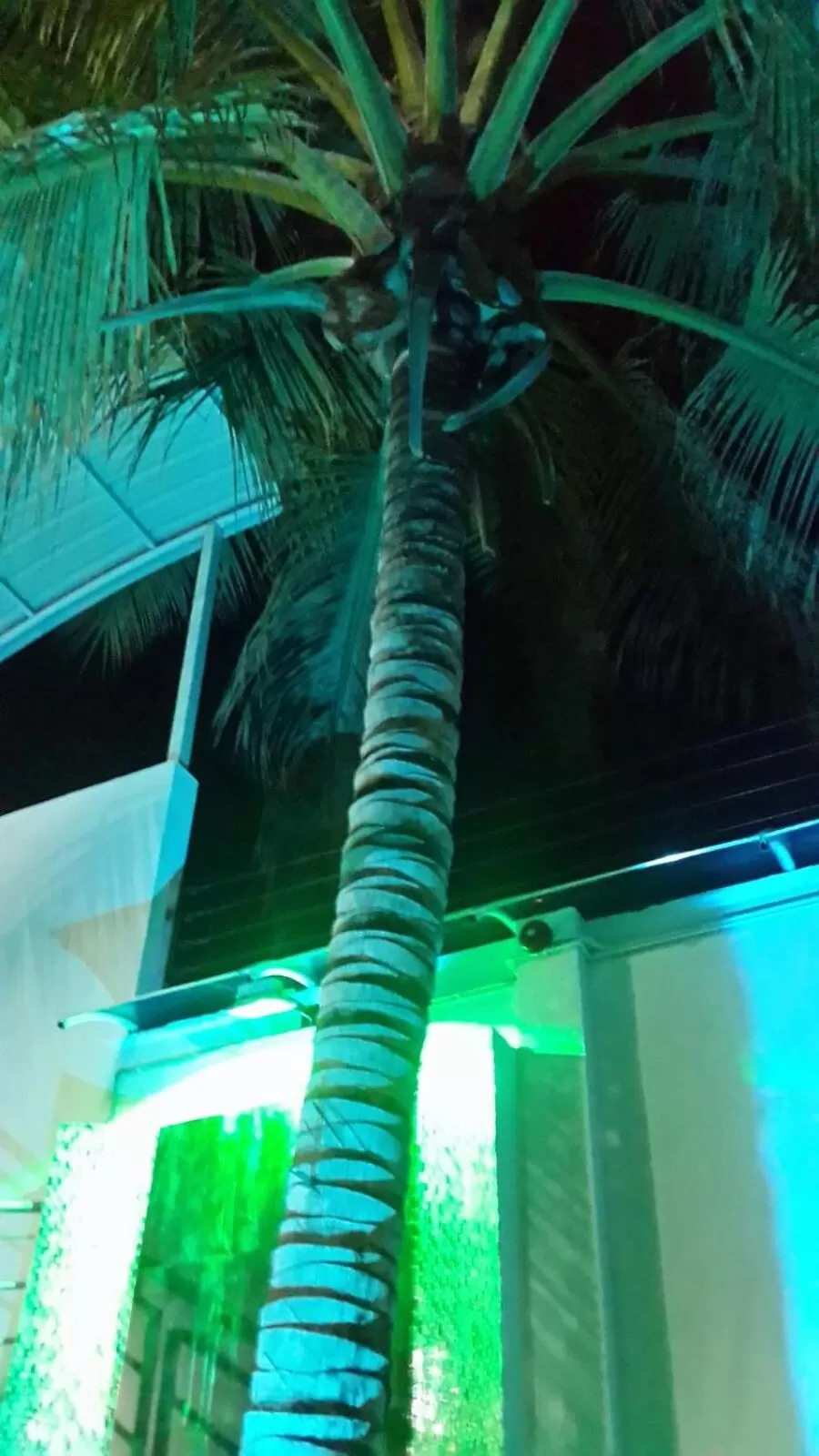 Tropical Resort Tocaima