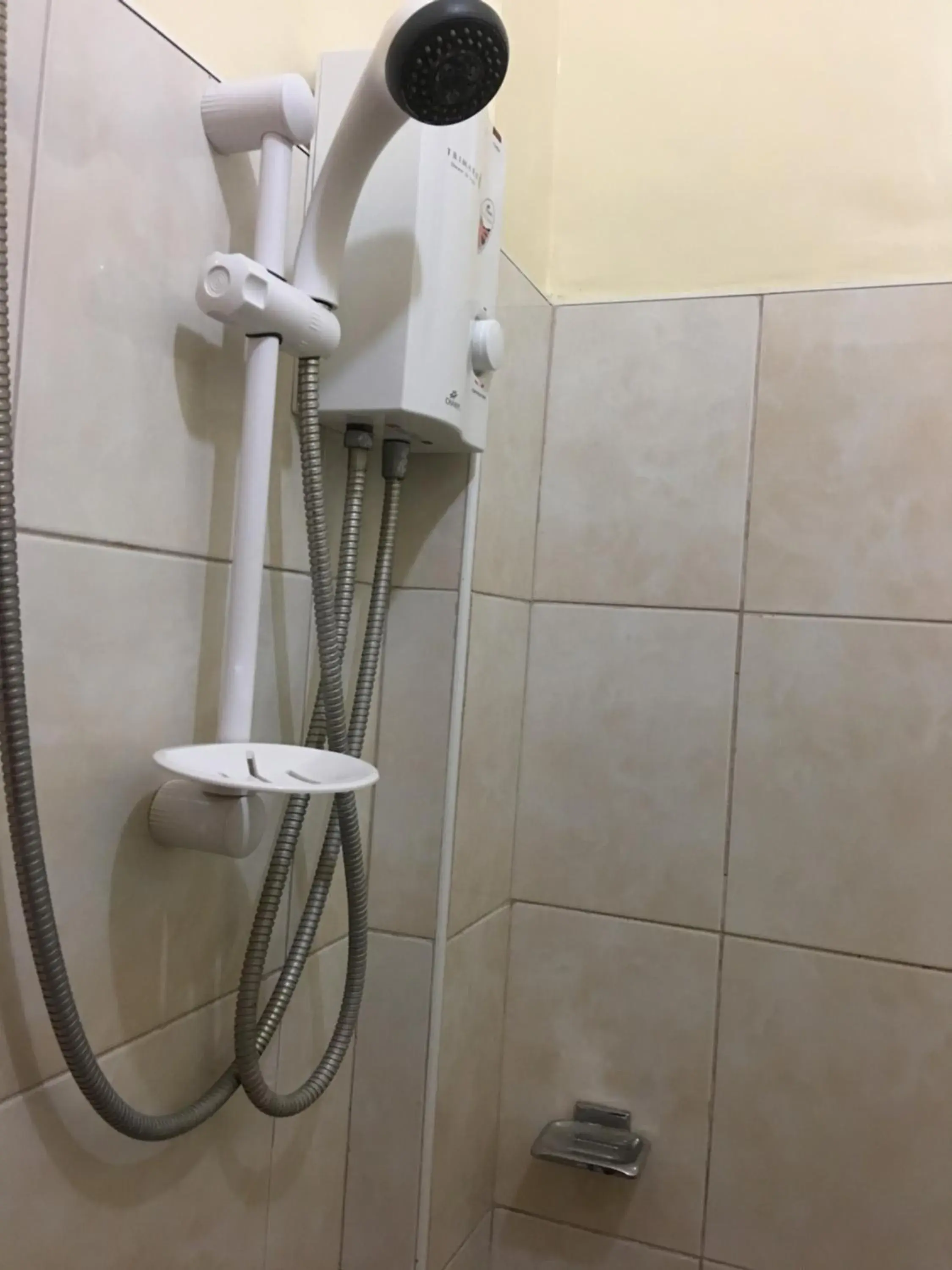 Shower, Bathroom in Dayview Tourist Home