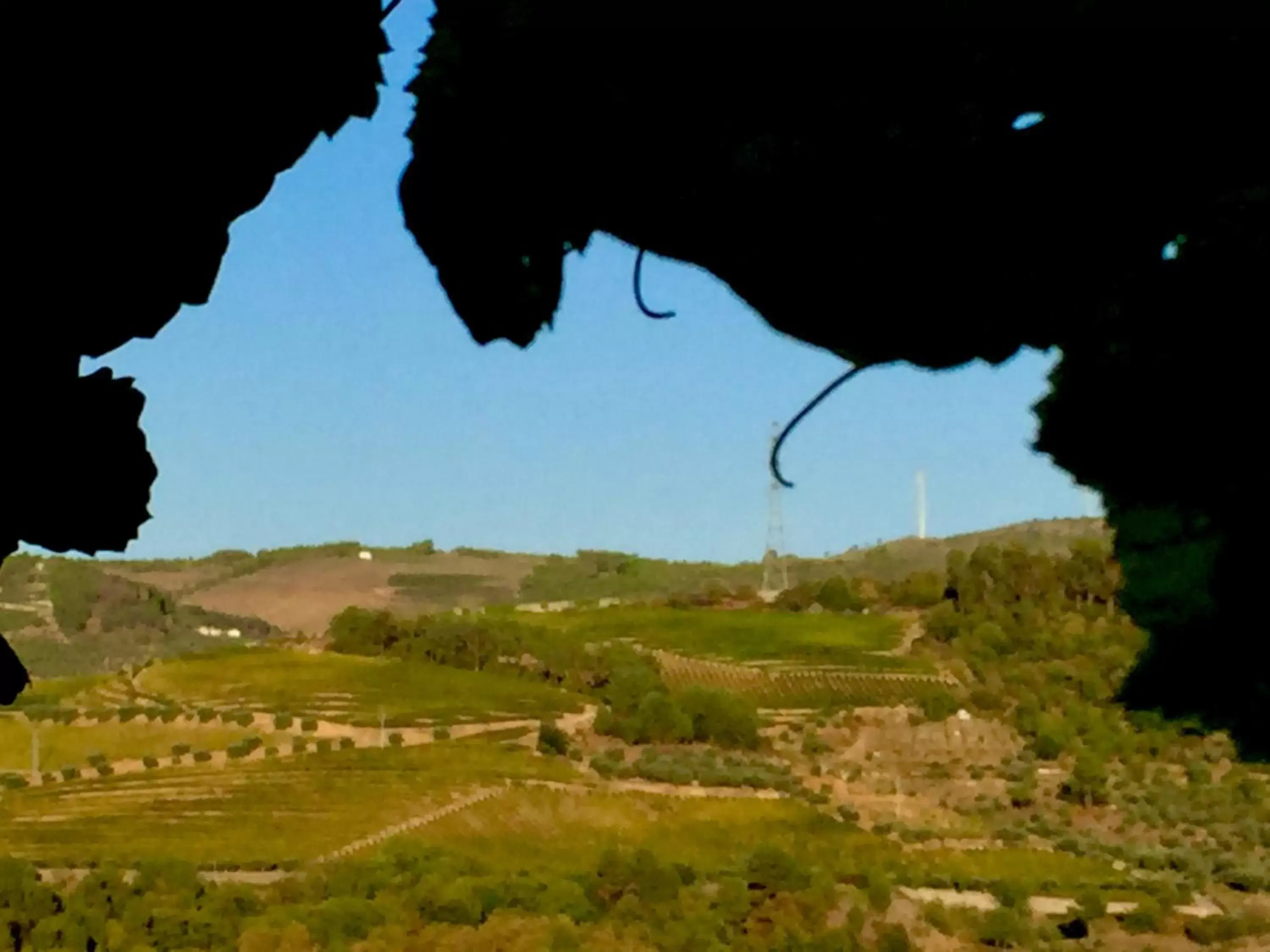 Nearby landmark in Quinta da Vinha Morta