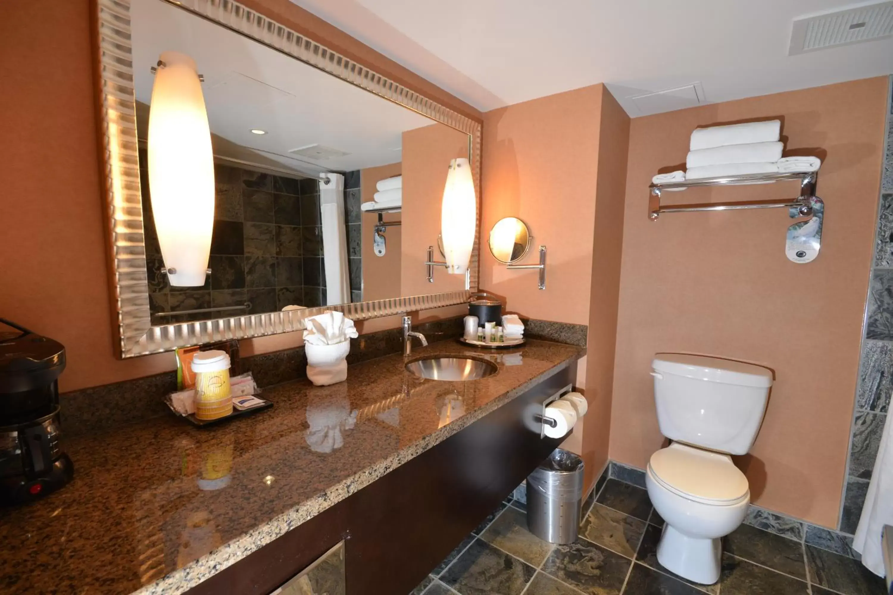 Bathroom in Radisson Hotel & Suites Red Deer