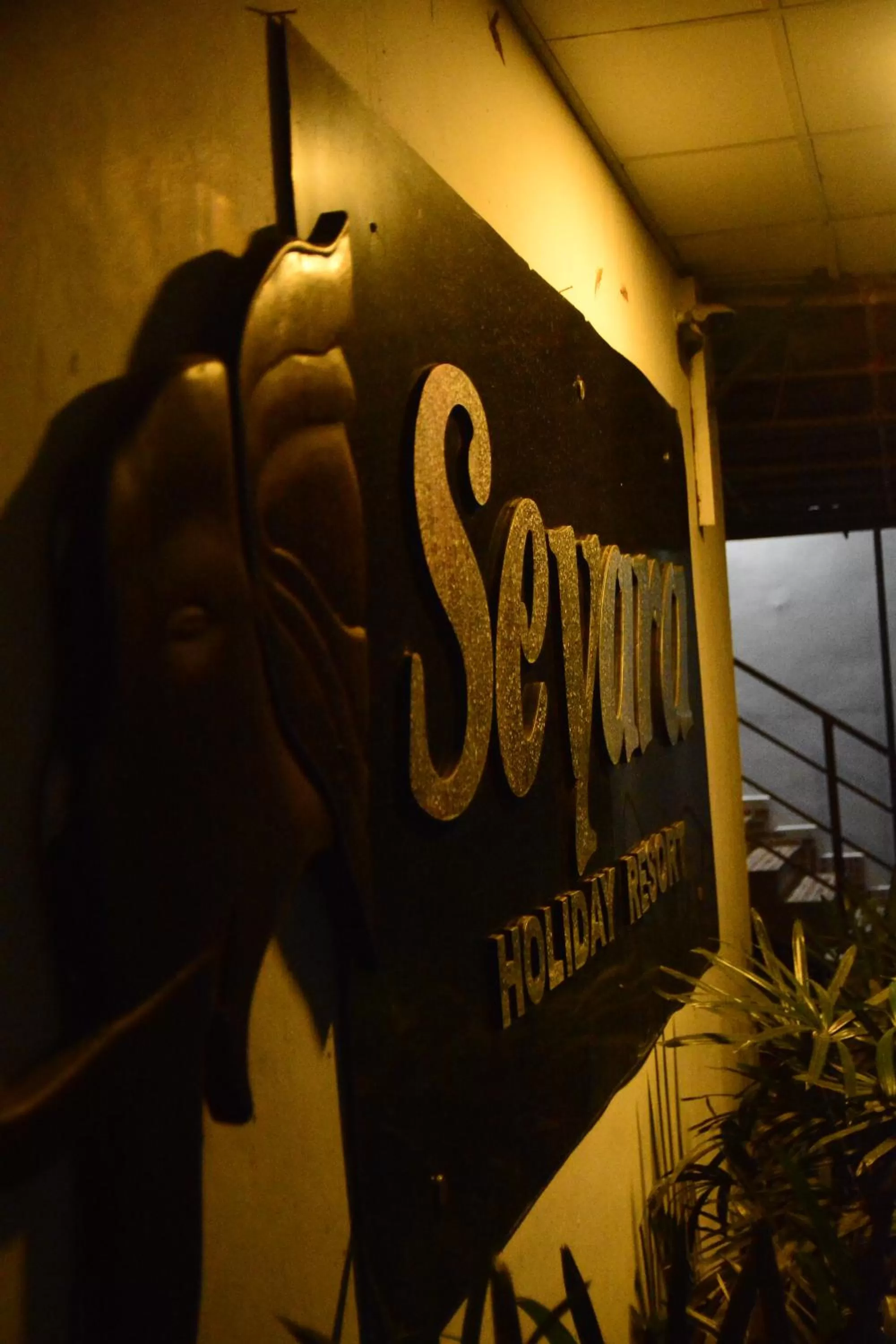 Seyara Holiday Resort