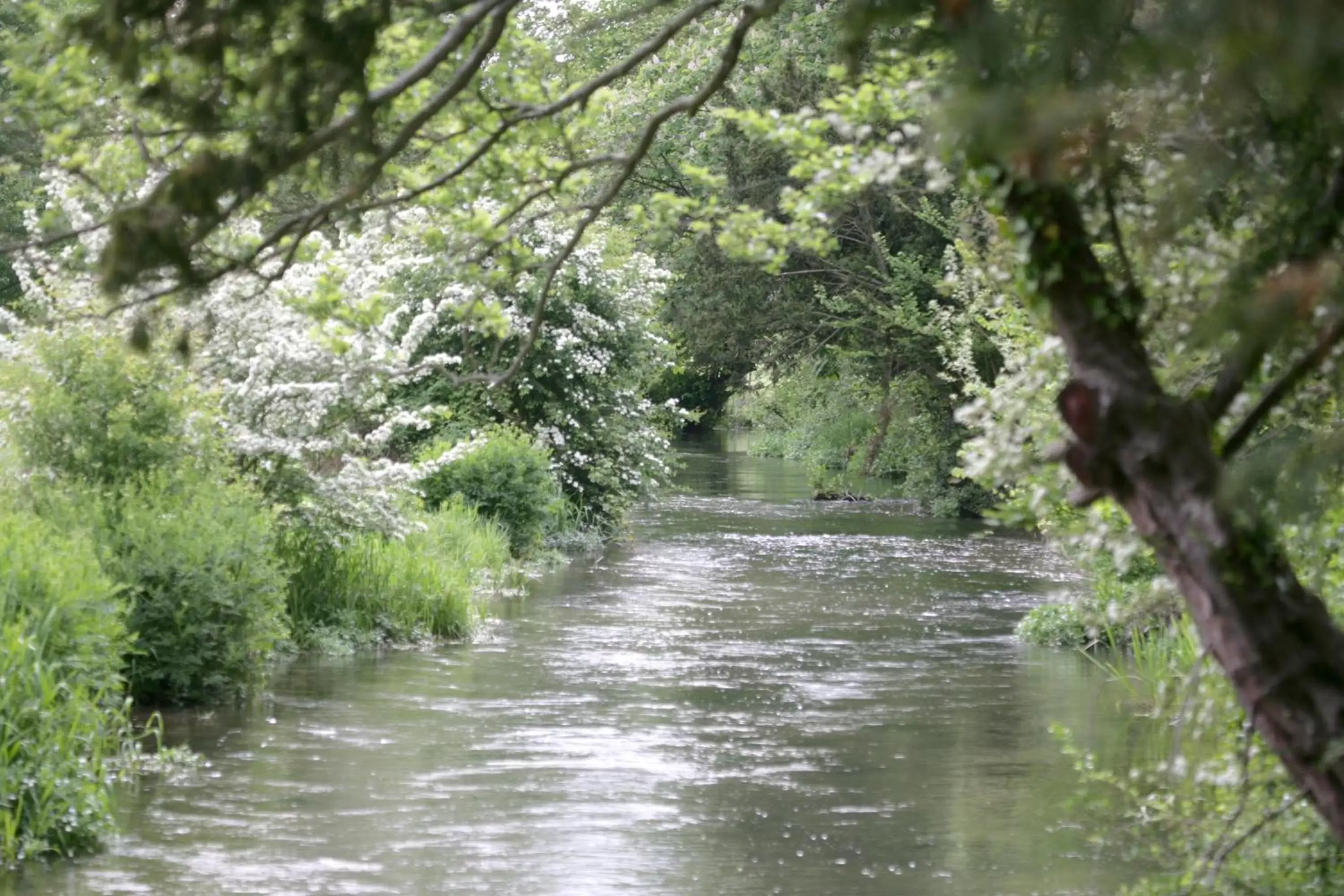 Area and facilities, Natural Landscape in Donnington Grove