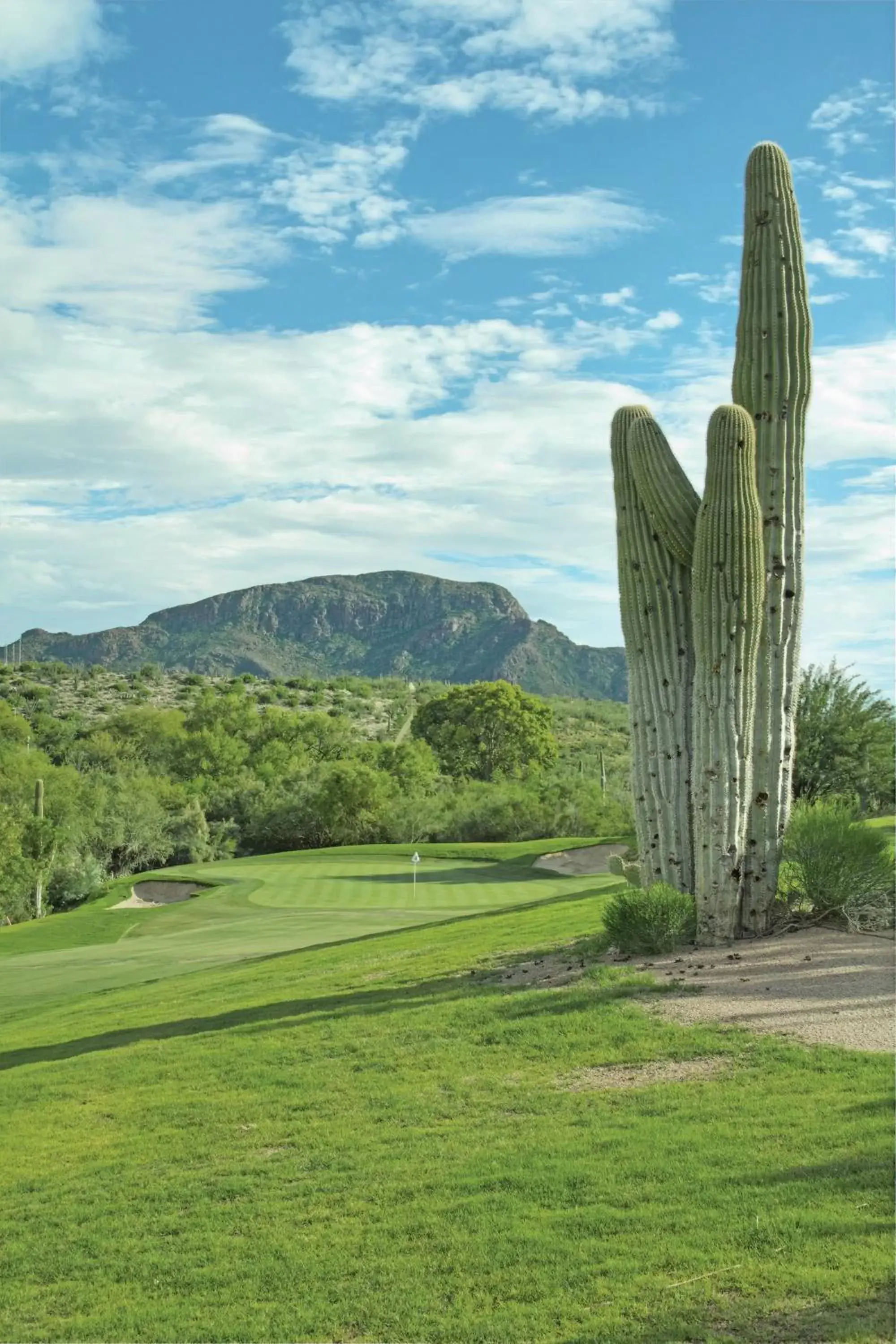 Golfcourse in Starr Pass Golf Suites