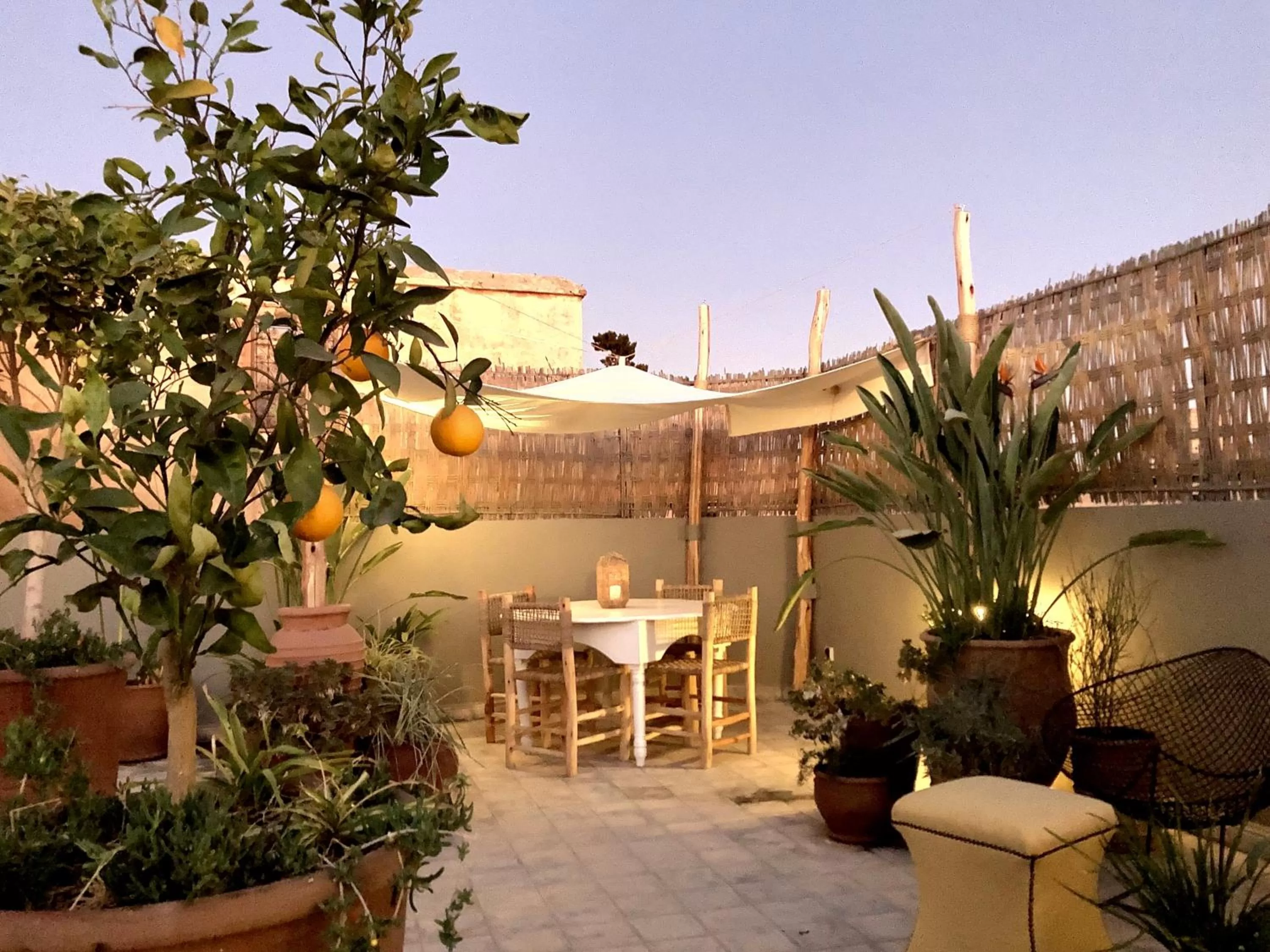 Patio in Riad Dar Chacha