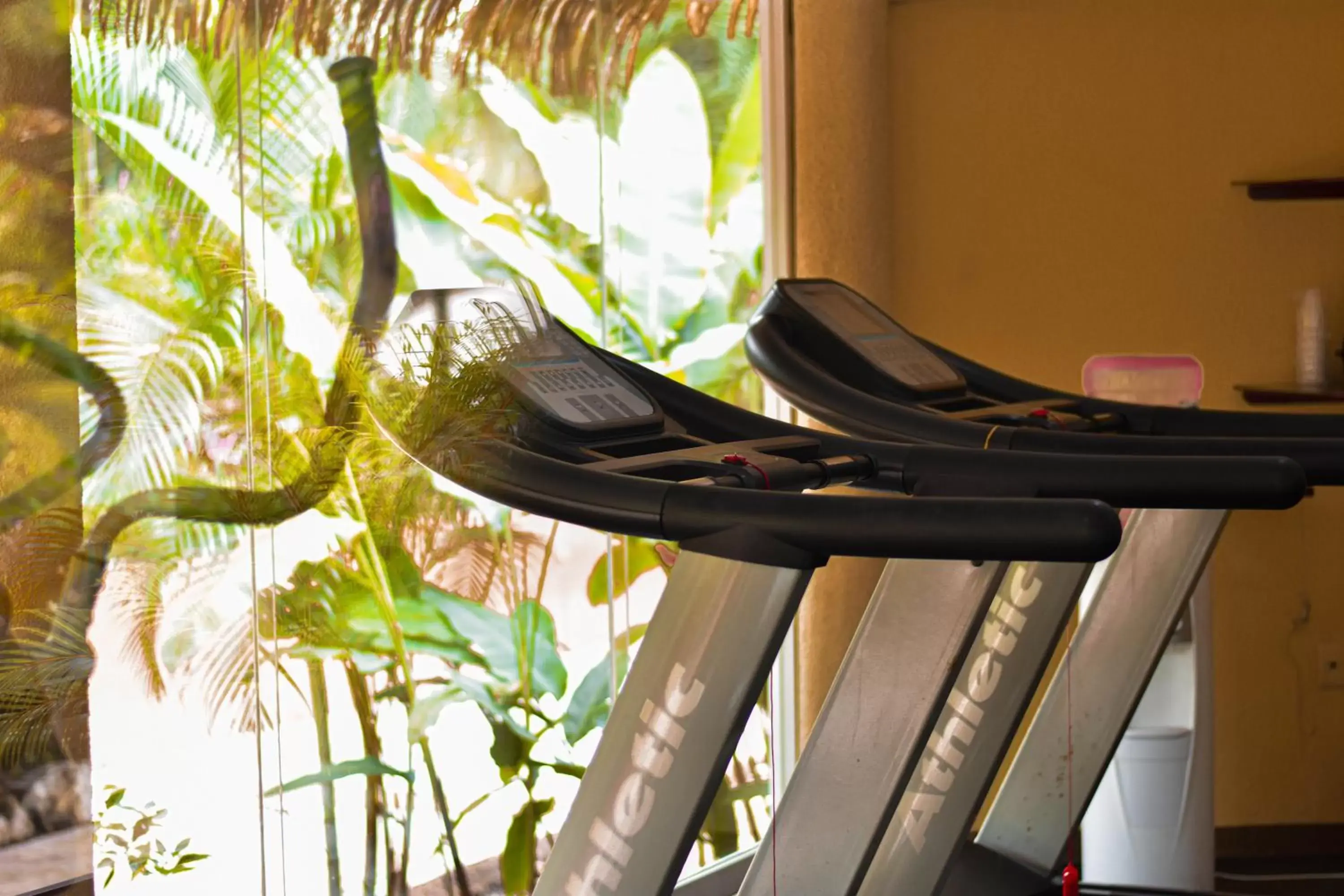 Fitness centre/facilities, Fitness Center/Facilities in Hotel Villa Mercedes Palenque
