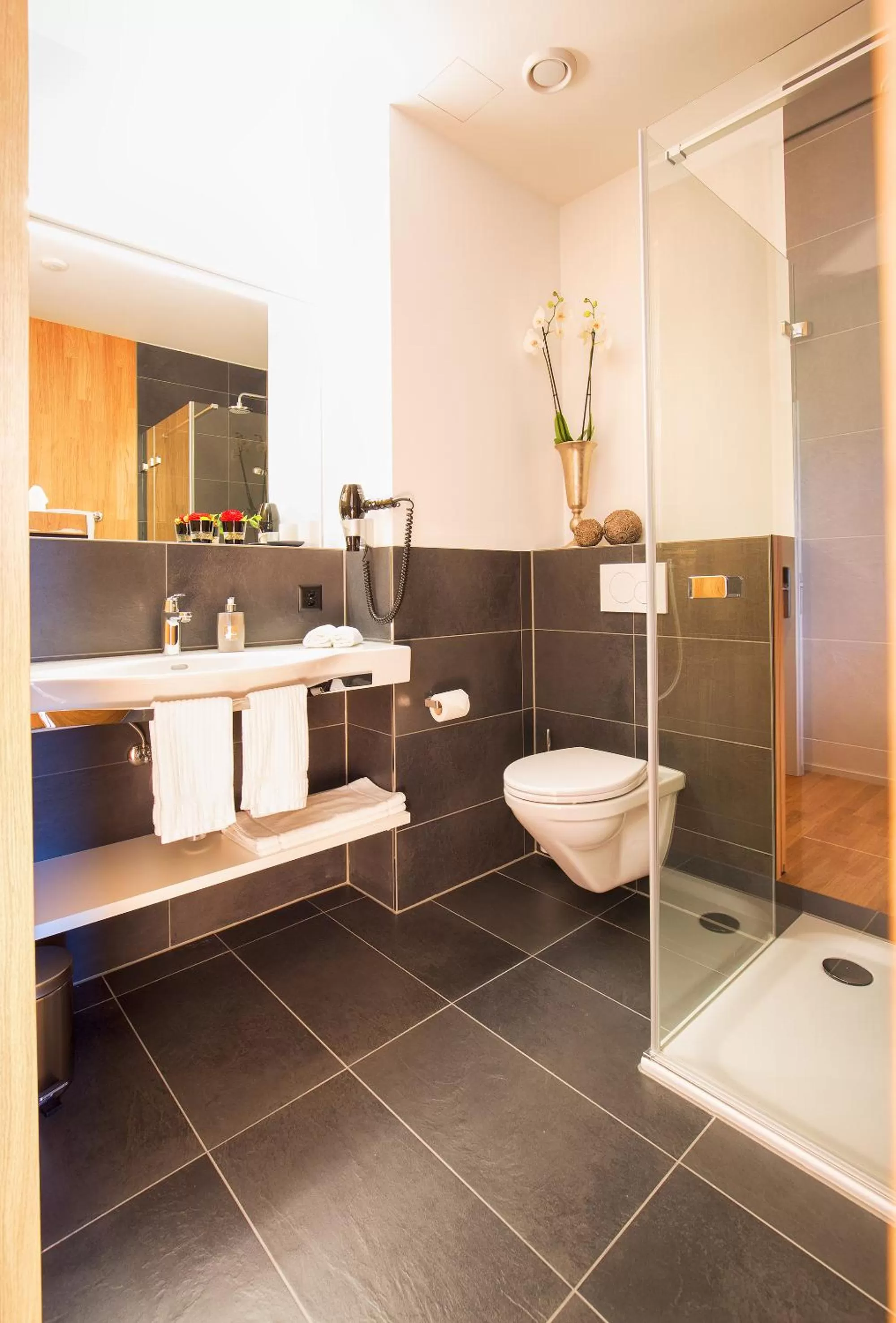 Shower in Hotel Restaurant Rhy