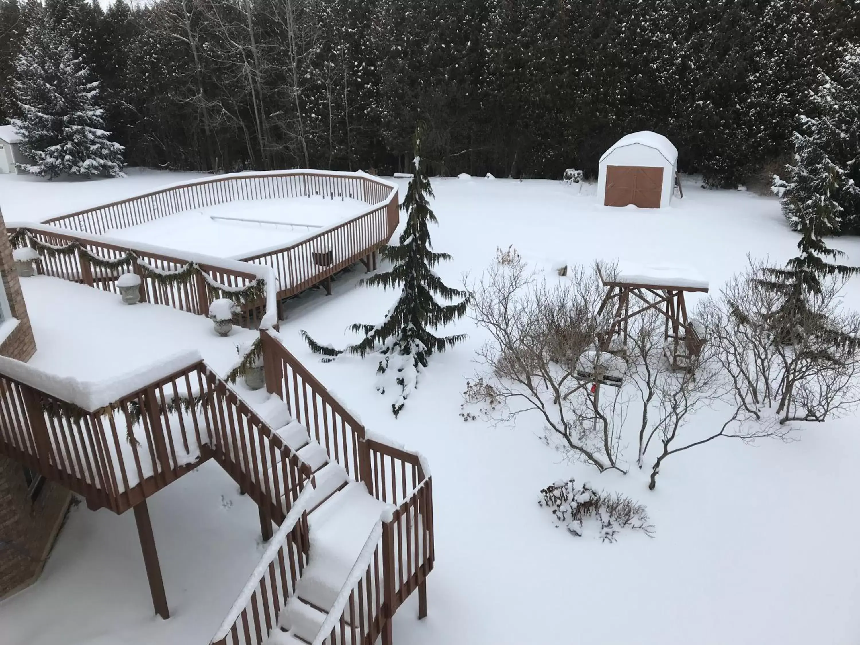 Garden, Winter in Molly's Retreat B and B