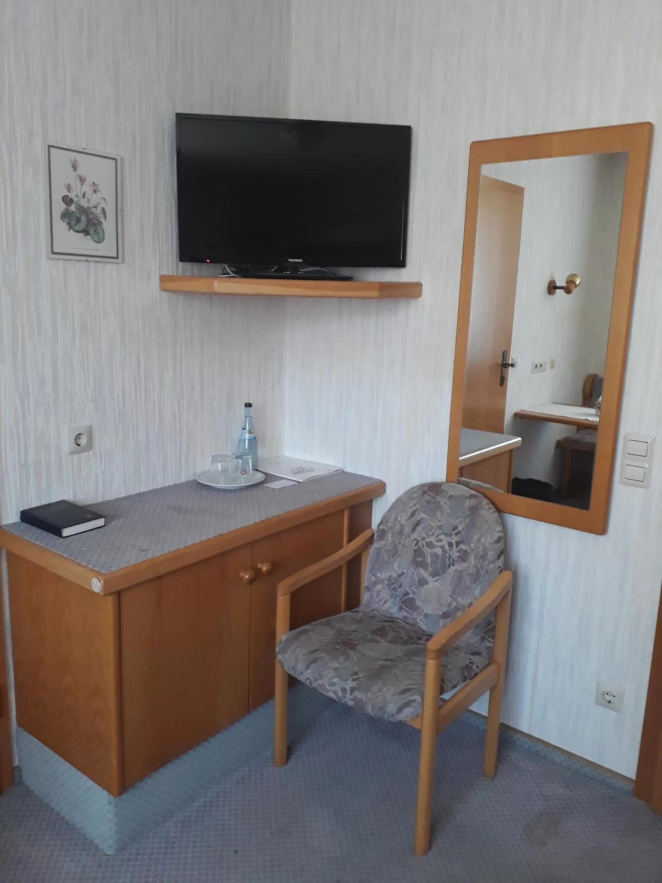 TV and multimedia in Hotel Eleon