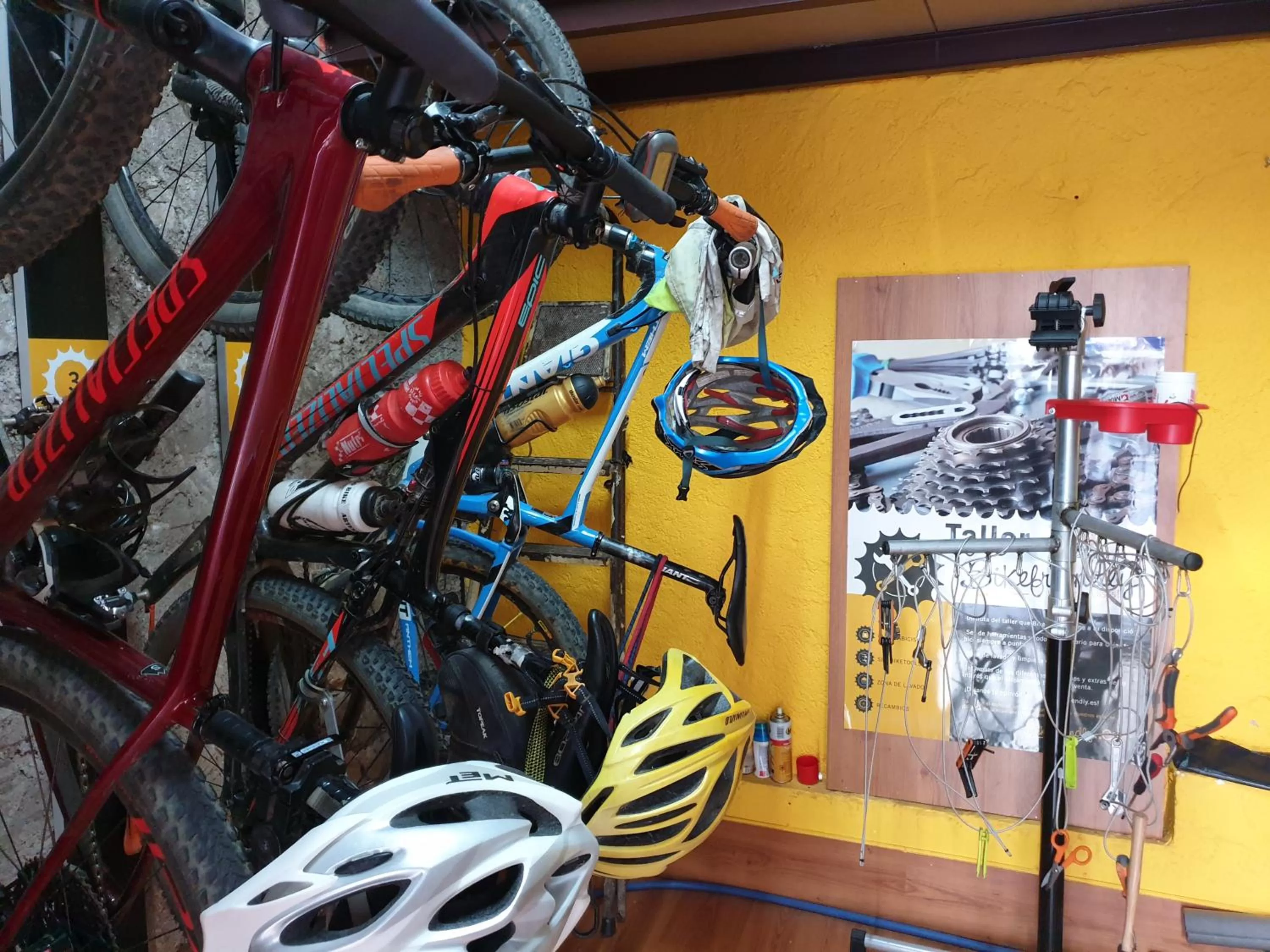 Activities in Hotel Cotori