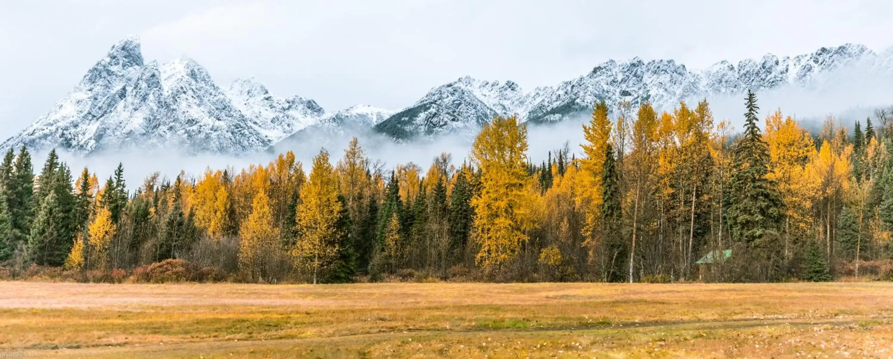 Mountain view, Natural Landscape in Rocky Ridge Resort-BC