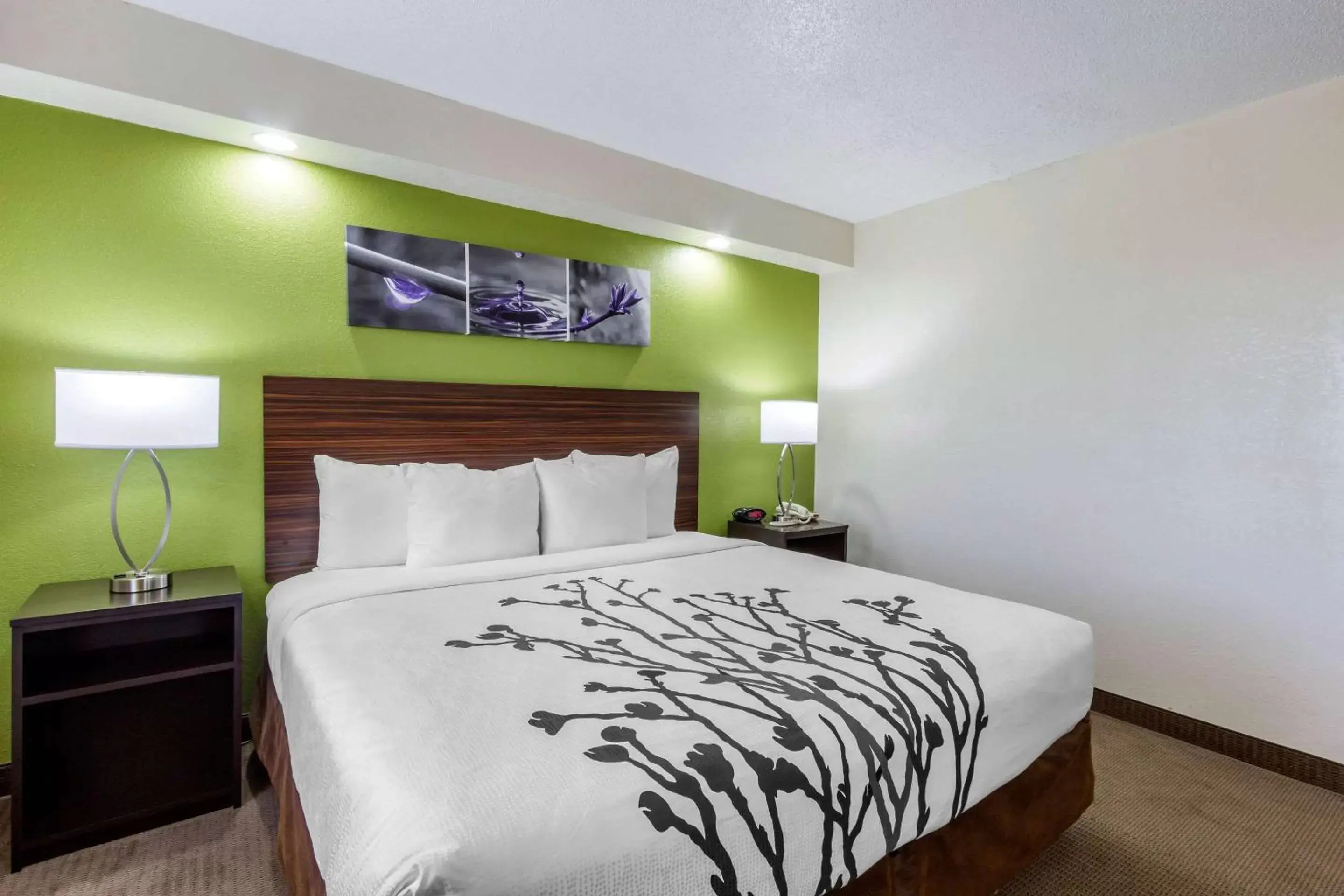 Photo of the whole room, Bed in Sleep Inn near Busch Gardens - USF