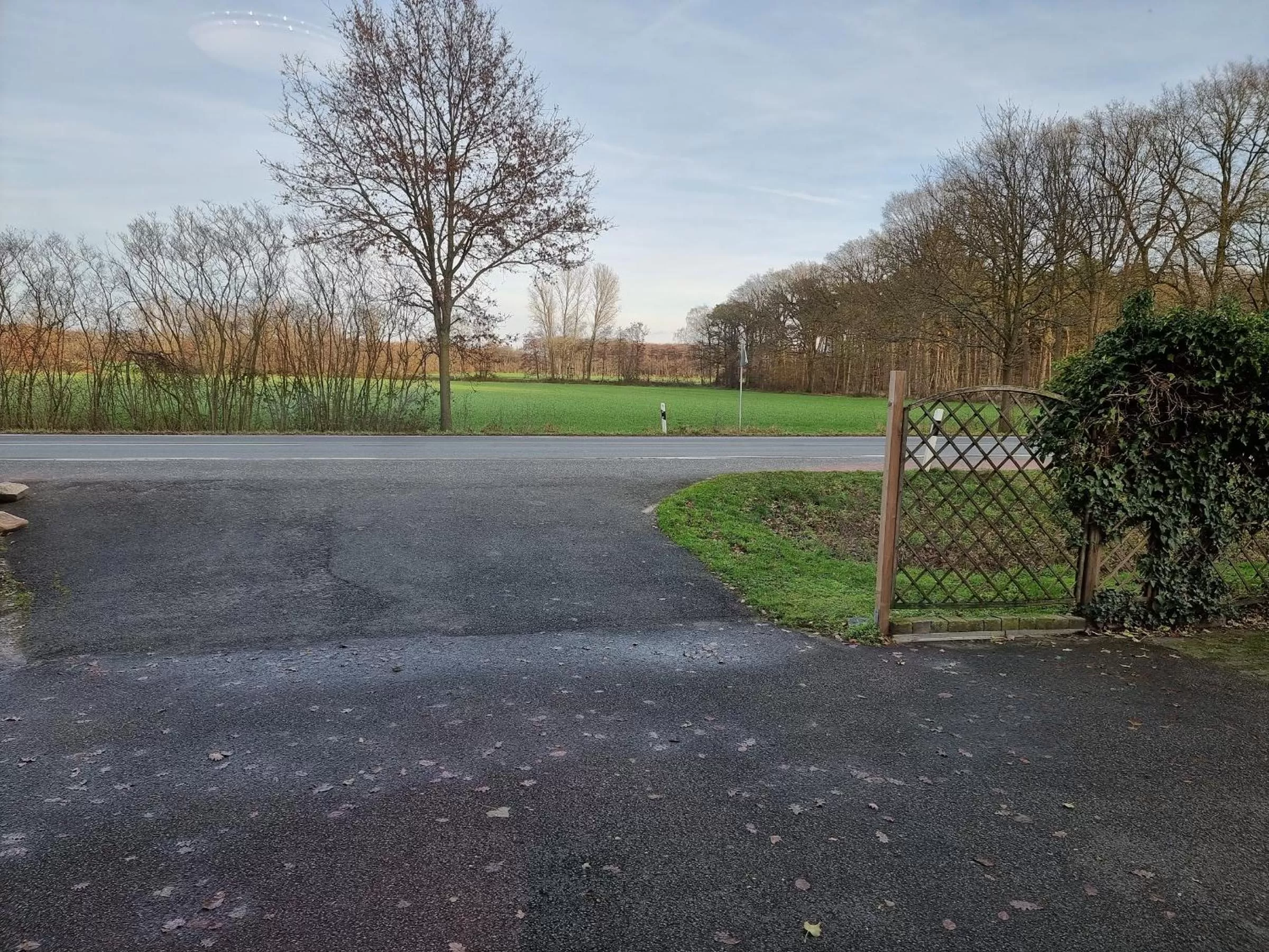 Natural landscape in Gästehaus Grunewald Bed & Breakfast
