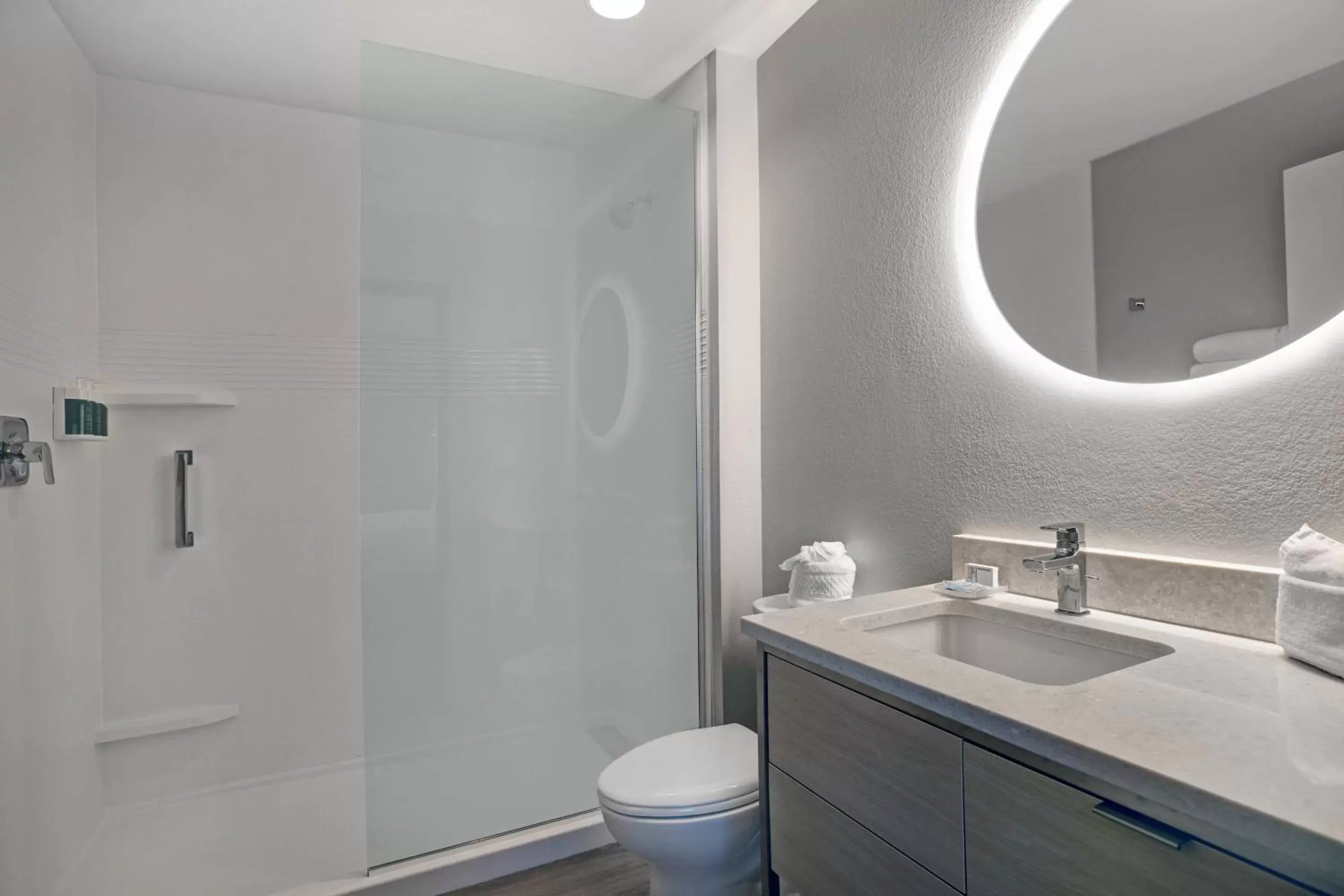 Bathroom in TownePlace Suites by Marriott Phoenix Glendale Sports & Entertainment District