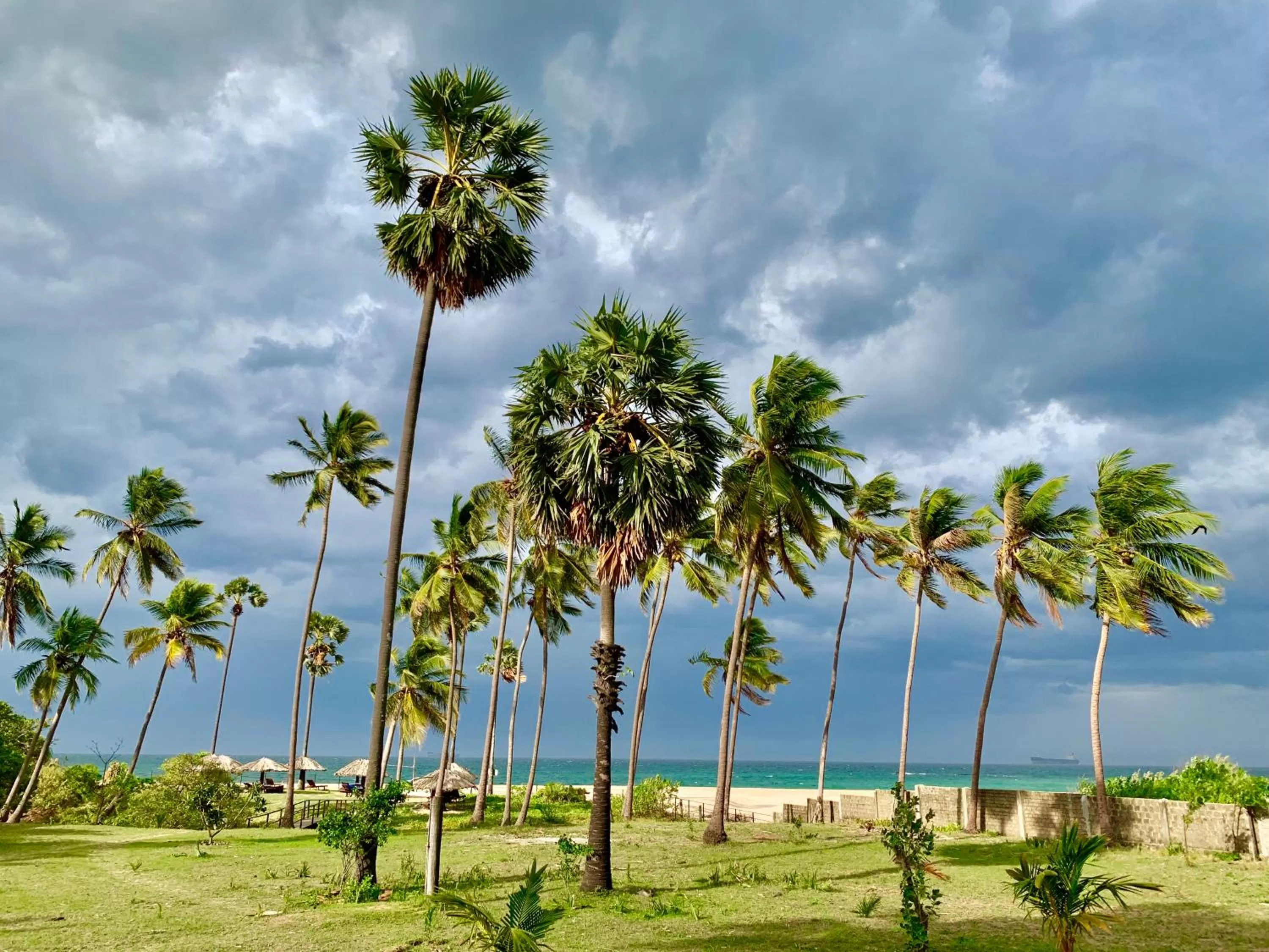 Garden view in 108 Palms Beach Resort