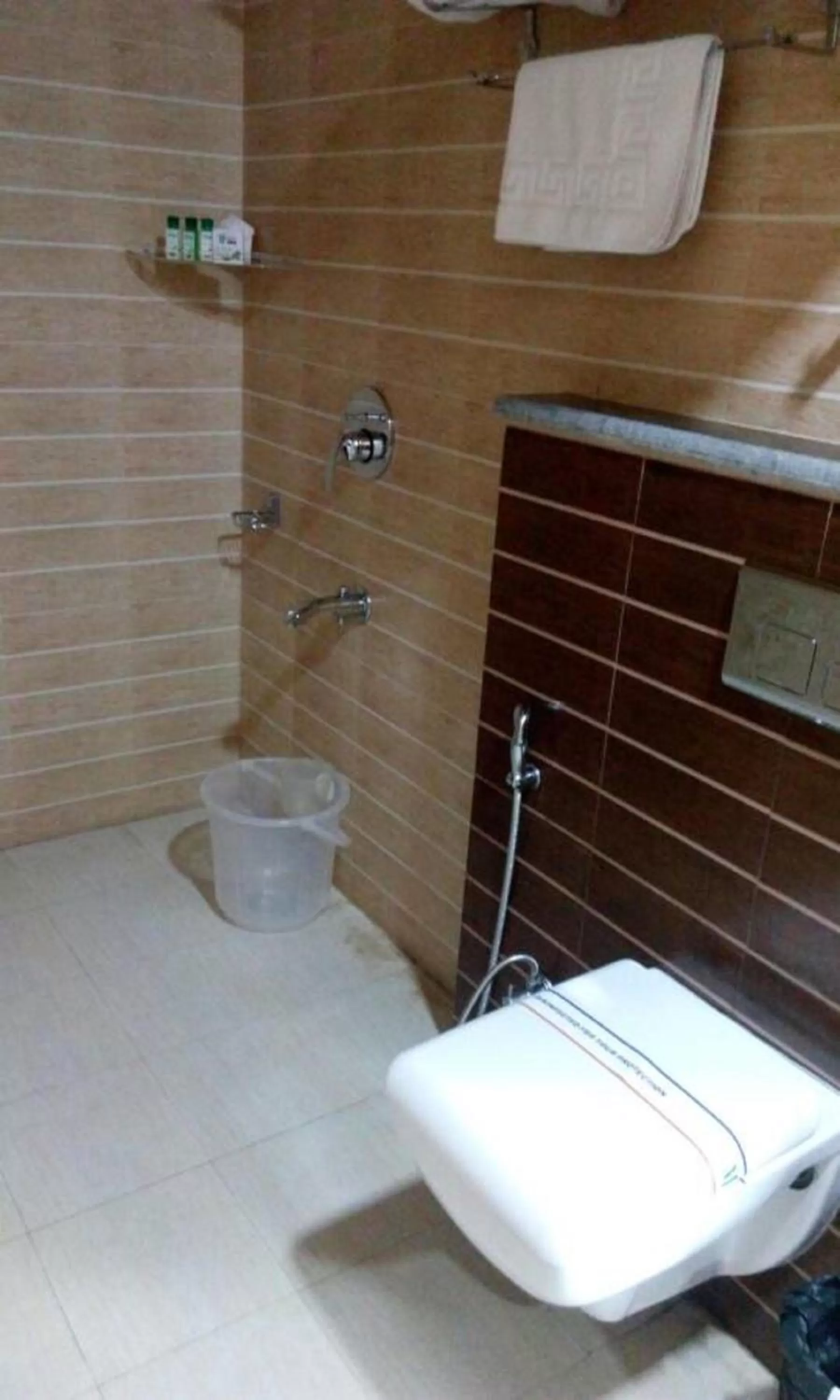Bathroom in Bravia Hotel Manali Inn