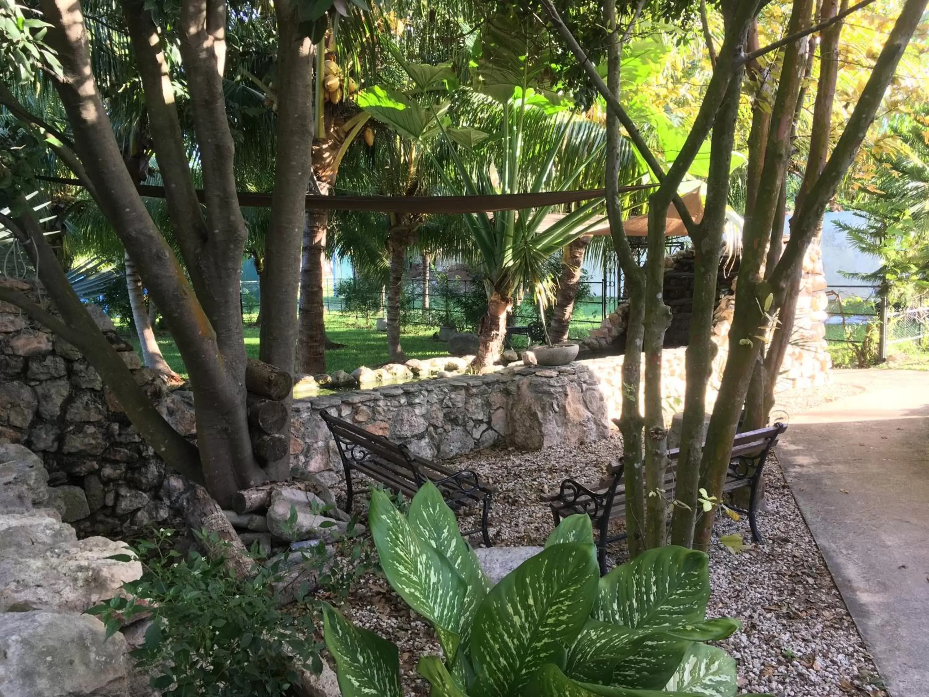 Area and facilities, Garden in Hacienda San Pedro Nohpat