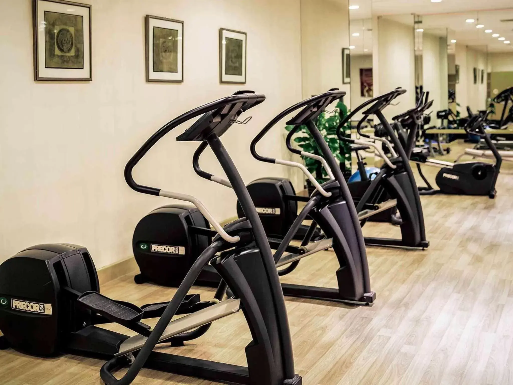 Fitness centre/facilities, Fitness Center/Facilities in Grand Mercure Beijing Central