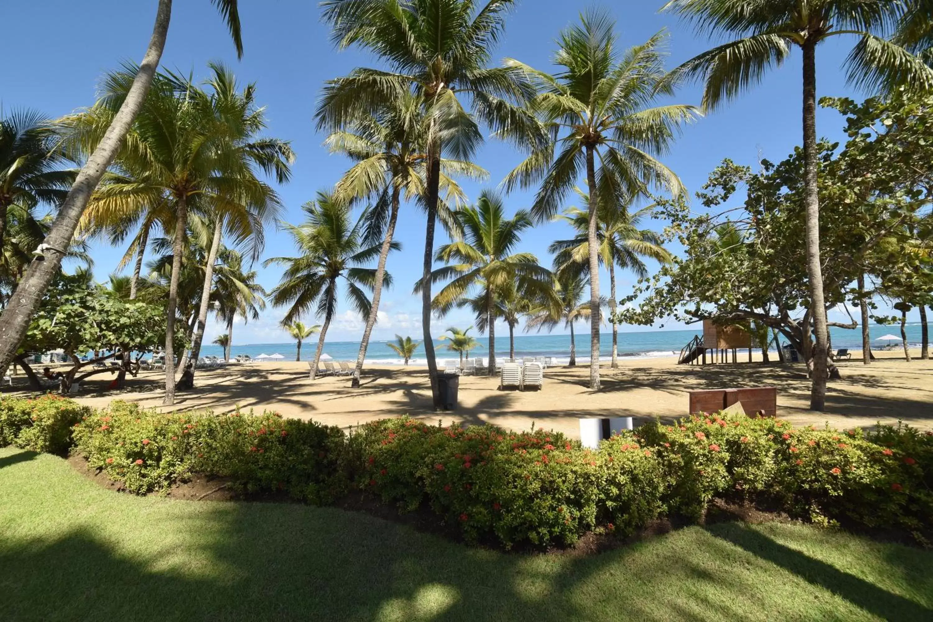 Beach in Cabarete Palm Beach Condos