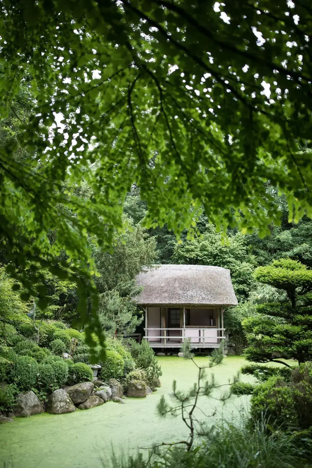 Garden, Property Building in Le Manoir aux Quat'Saisons, A Belmond Hotel, Oxfordshire