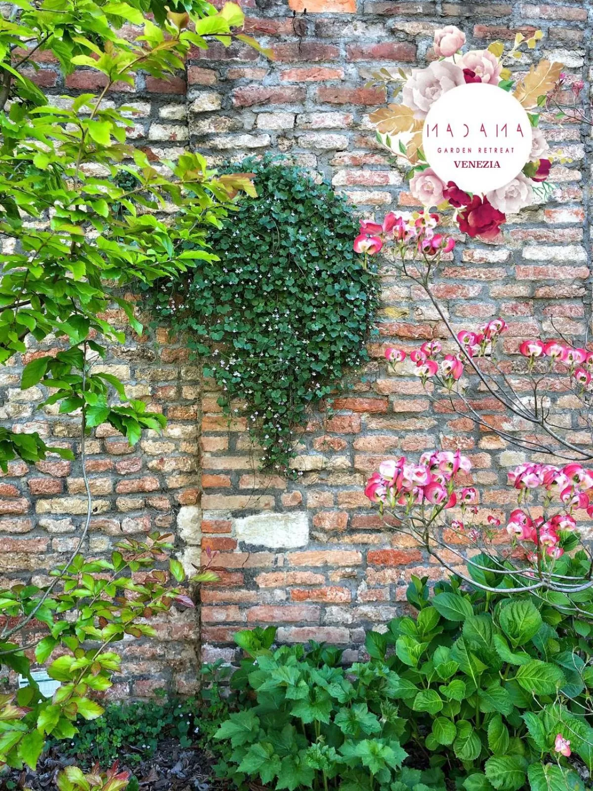 Garden in Madama Garden Retreat