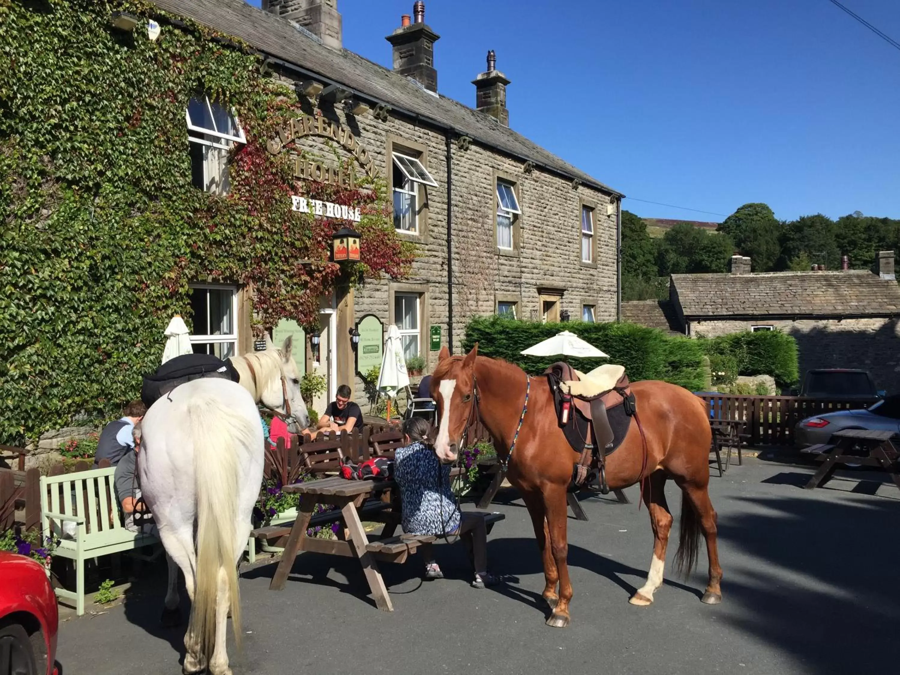 Animals, Other Animals in The Clarendon Country Pub with rooms