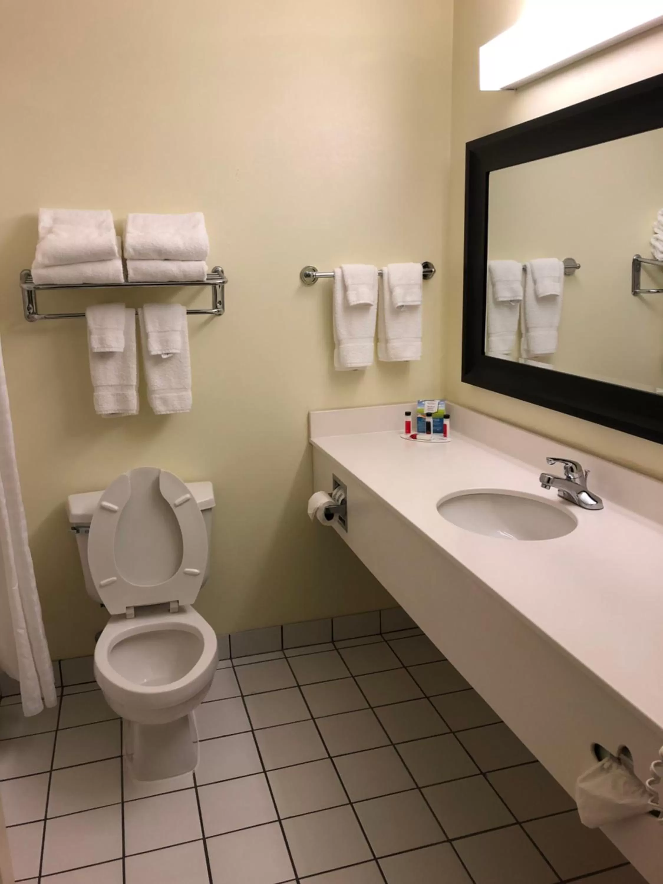 Toilet in Baymont by Wyndham Fort Wayne