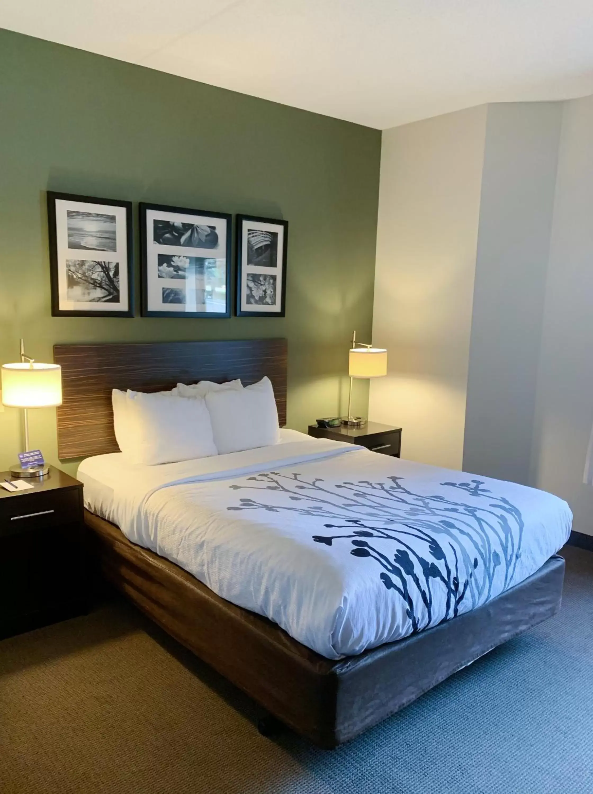 Queen Room - Accessible/Non-Smoking in Sleep Inn & Suites Queensbury - Lake George