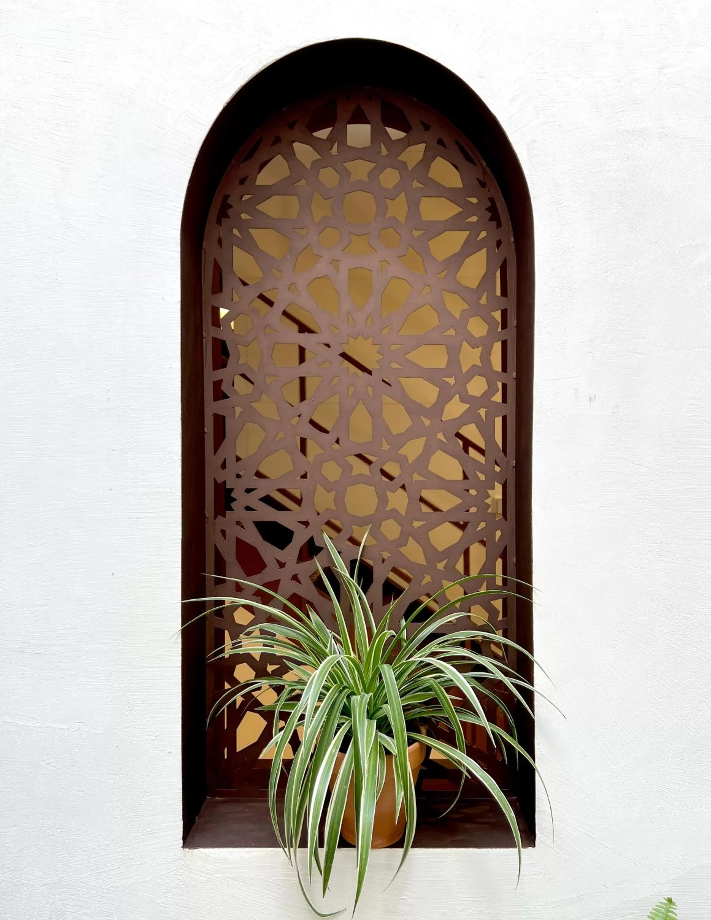 Arcos de Medina - Apartamentos premium