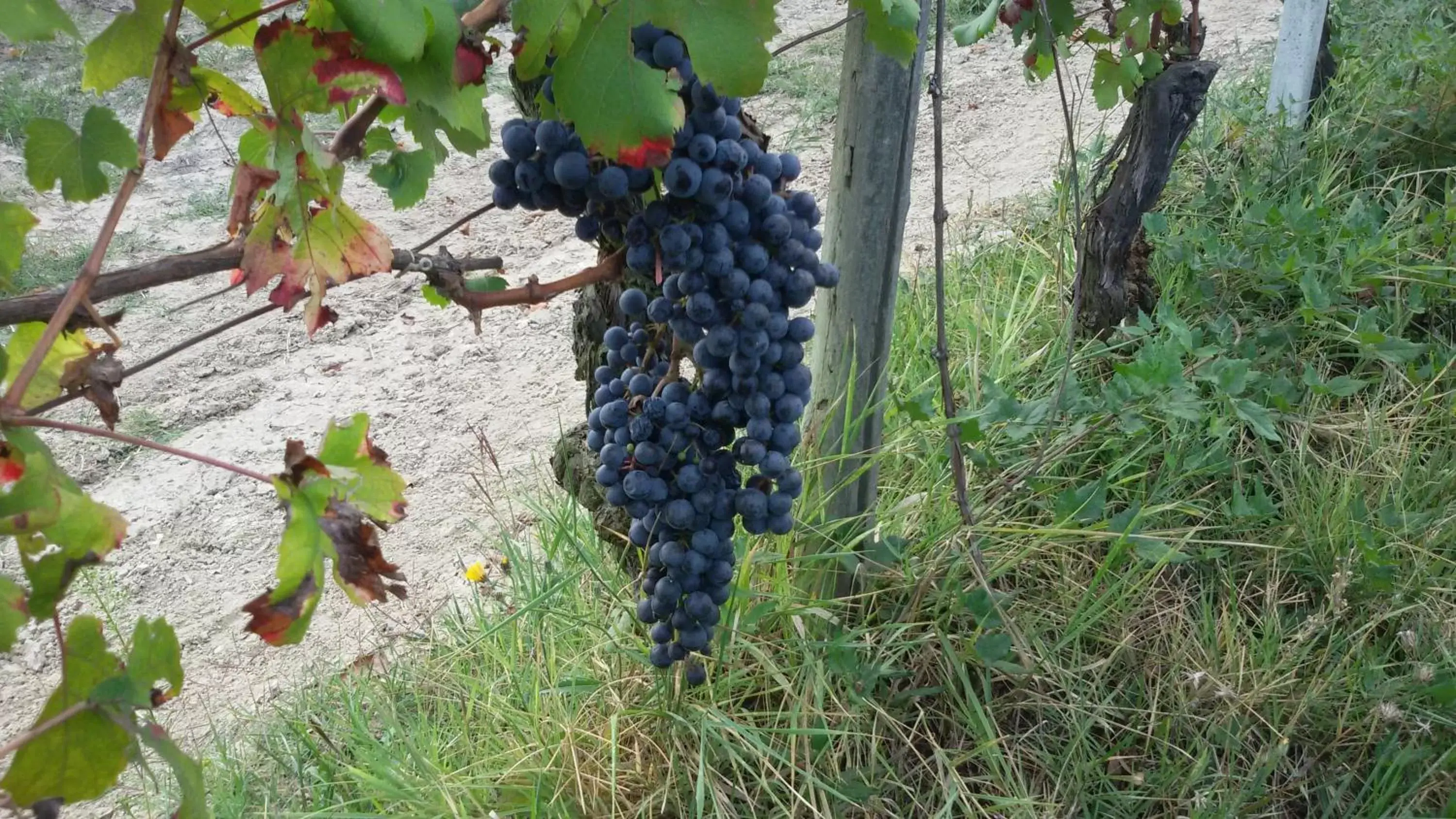 Seasons in Cascina Torello