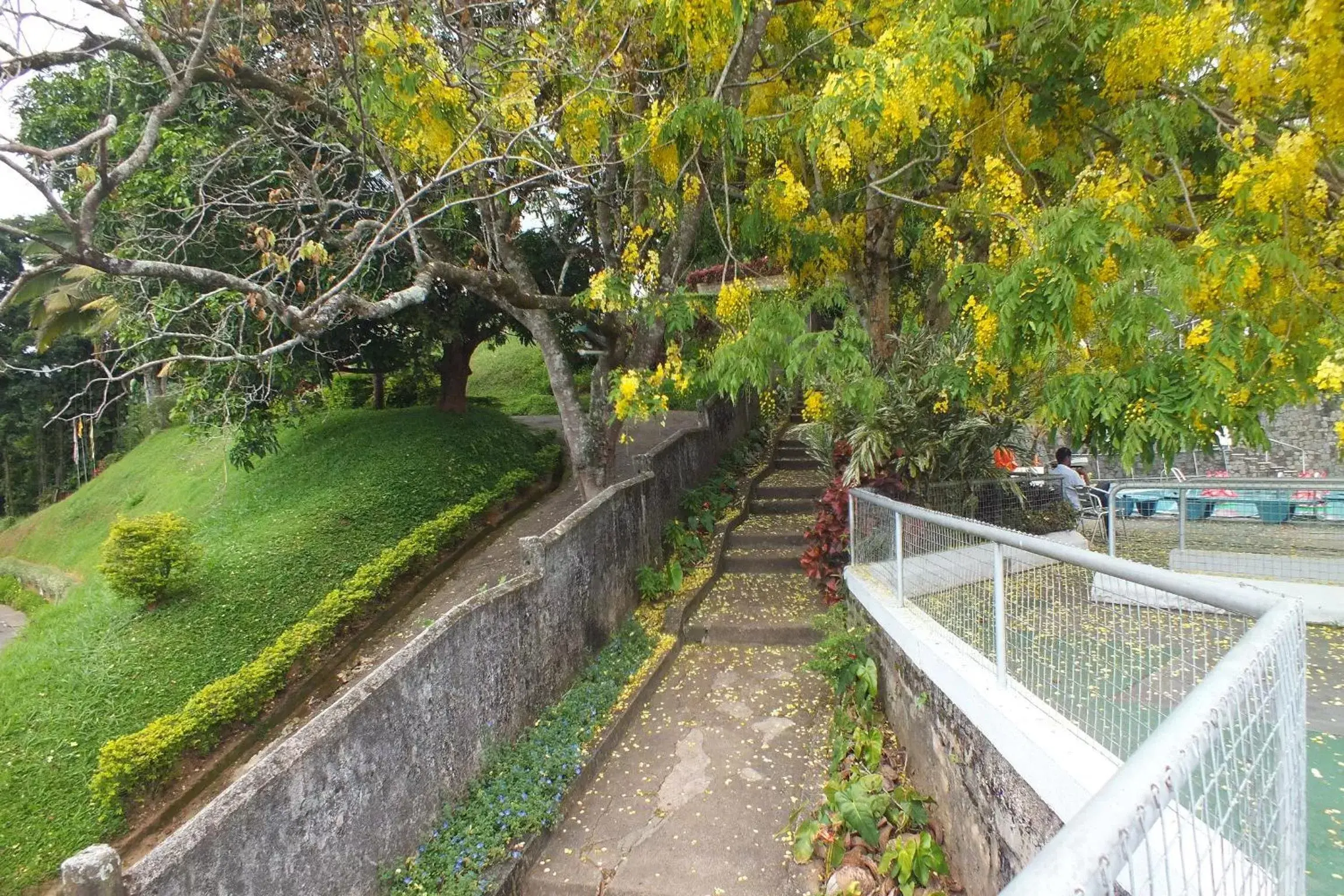 Area and facilities, Garden in Hotel Topaz