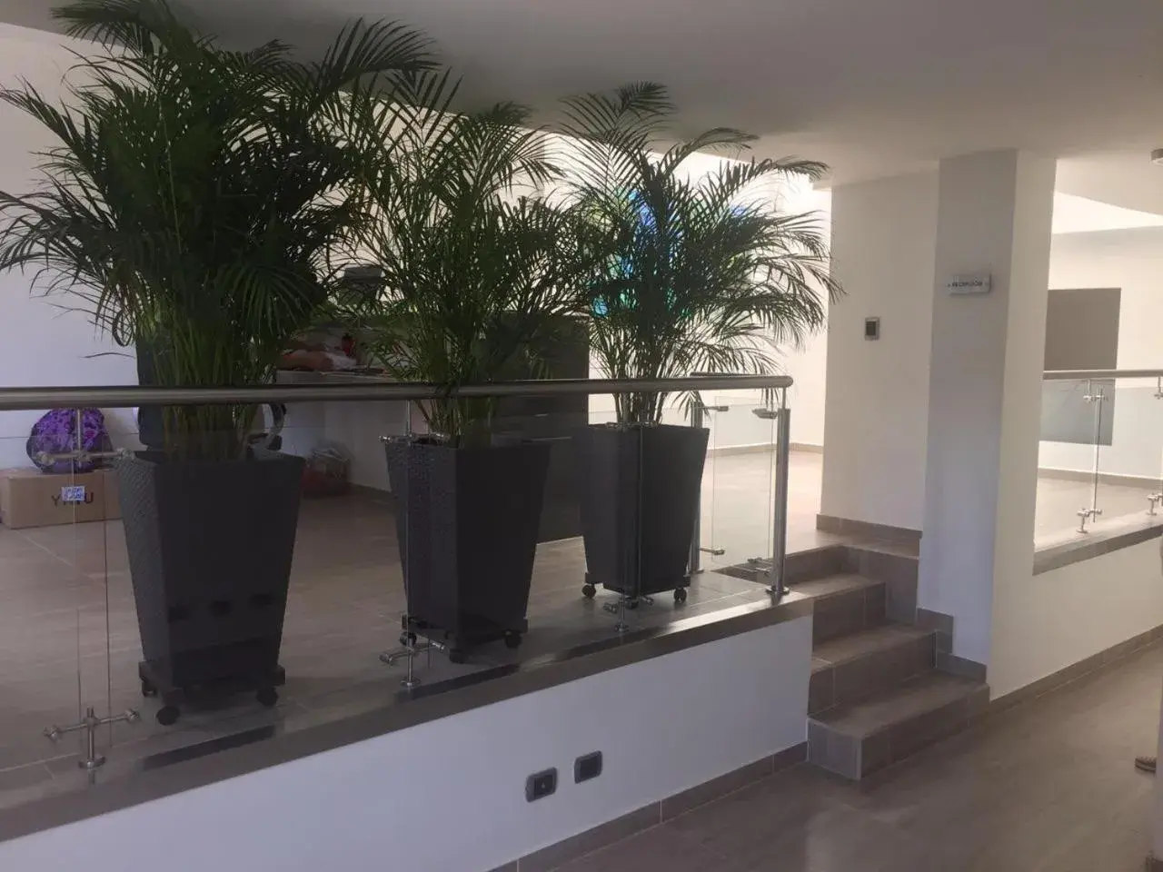 Lobby or reception, Lobby/Reception in Jardin de Laureles