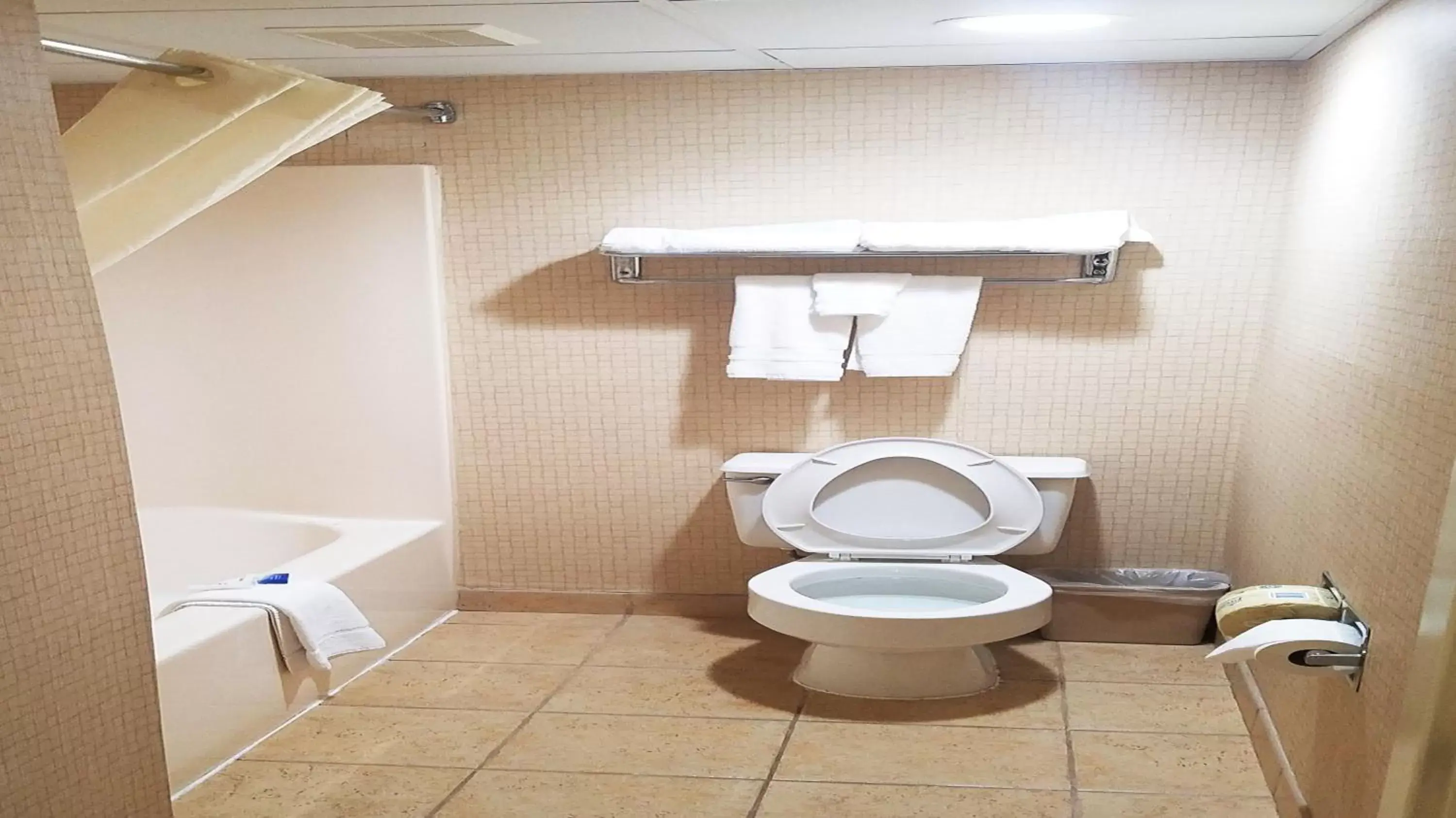 Toilet, Bathroom in Best Western Hazlet Inn
