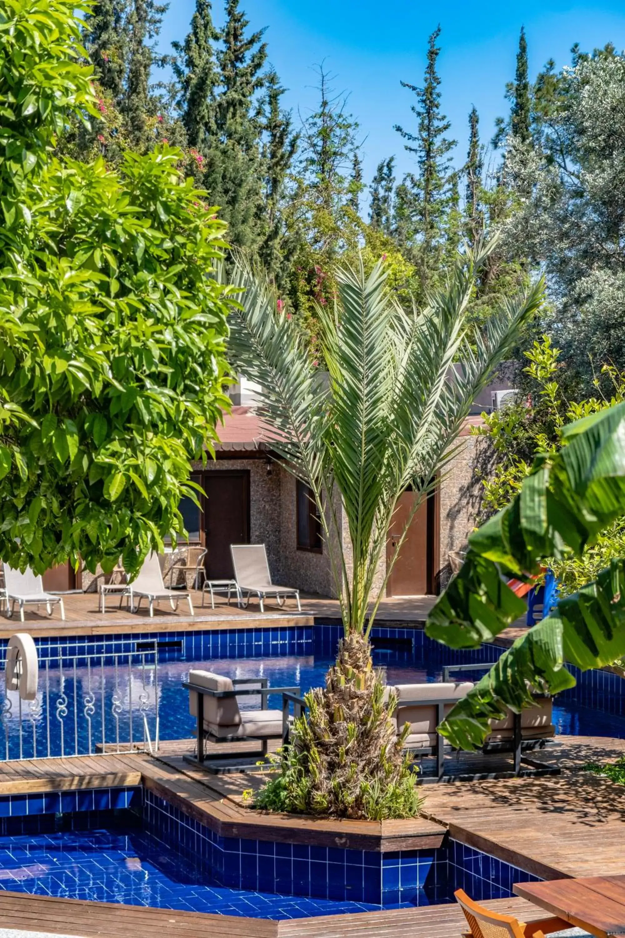 Garden view, Swimming Pool in Hotel Centro Bodrum